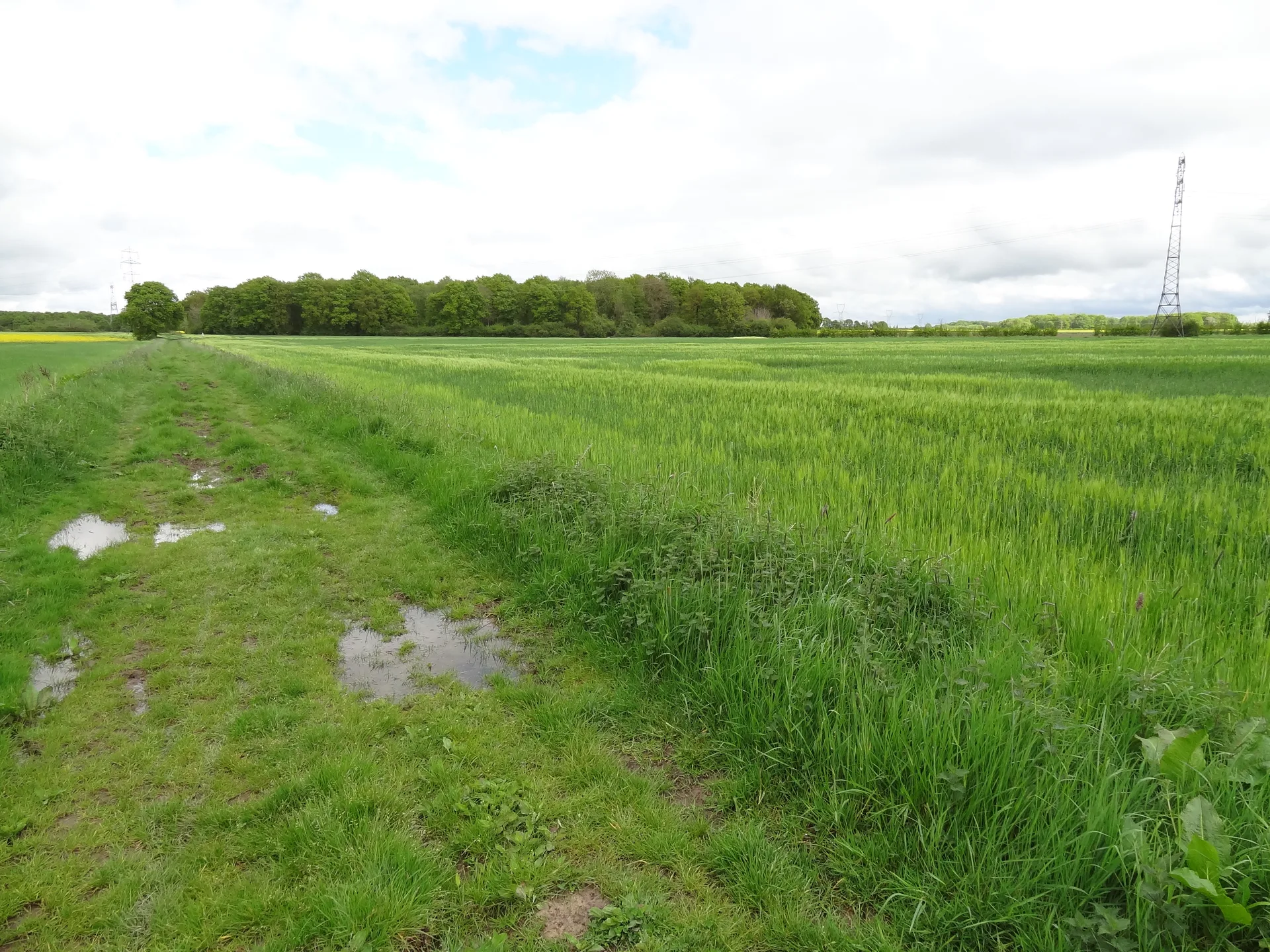Etang de la Tour à Vieille-Église-en-Yvelines — À 2,7 km du lac