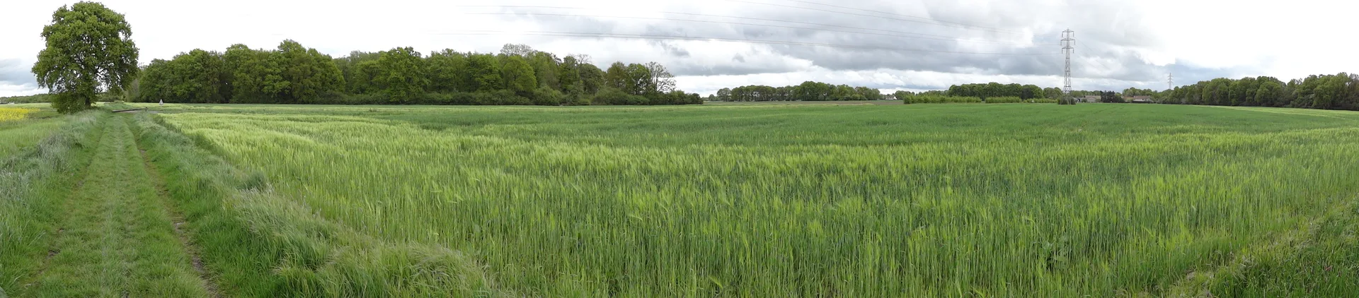 Etang de la Tour à Vieille-Église-en-Yvelines — À 2,7 km du lac