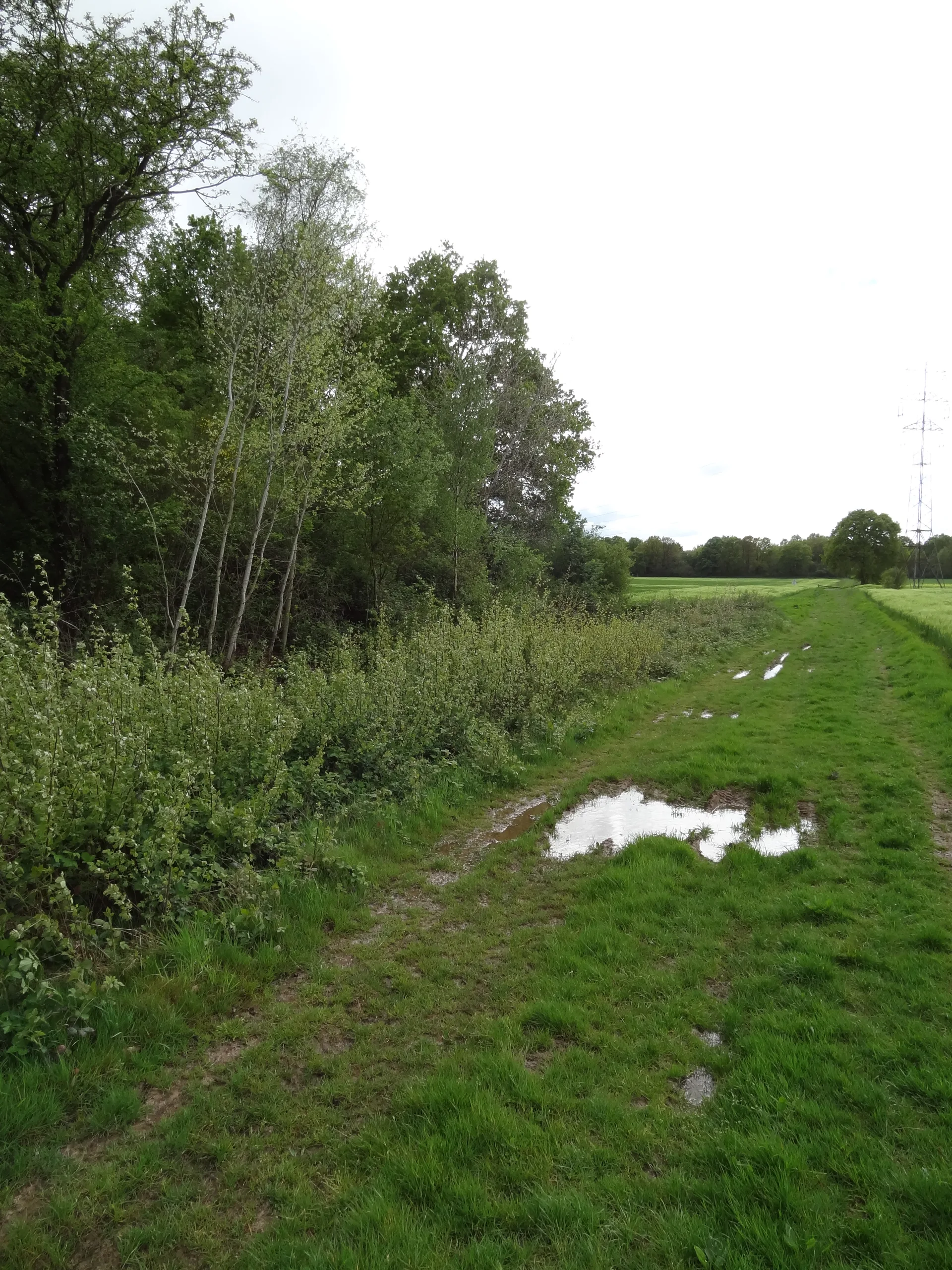 Etang de la Tour à Vieille-Église-en-Yvelines — À 2,7 km du lac