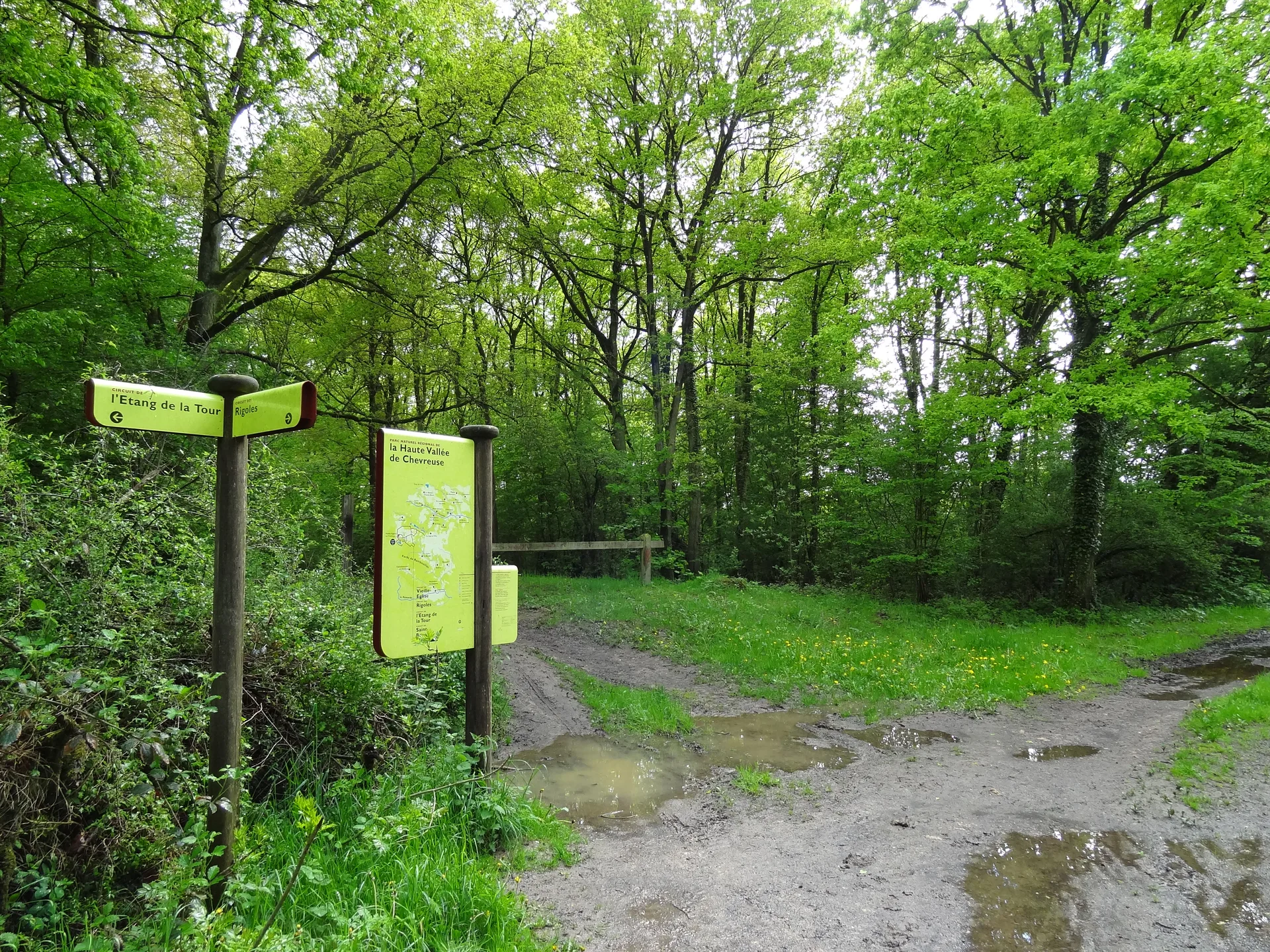 Etang de la Tour à Vieille-Église-en-Yvelines — À 1,5 km du lac