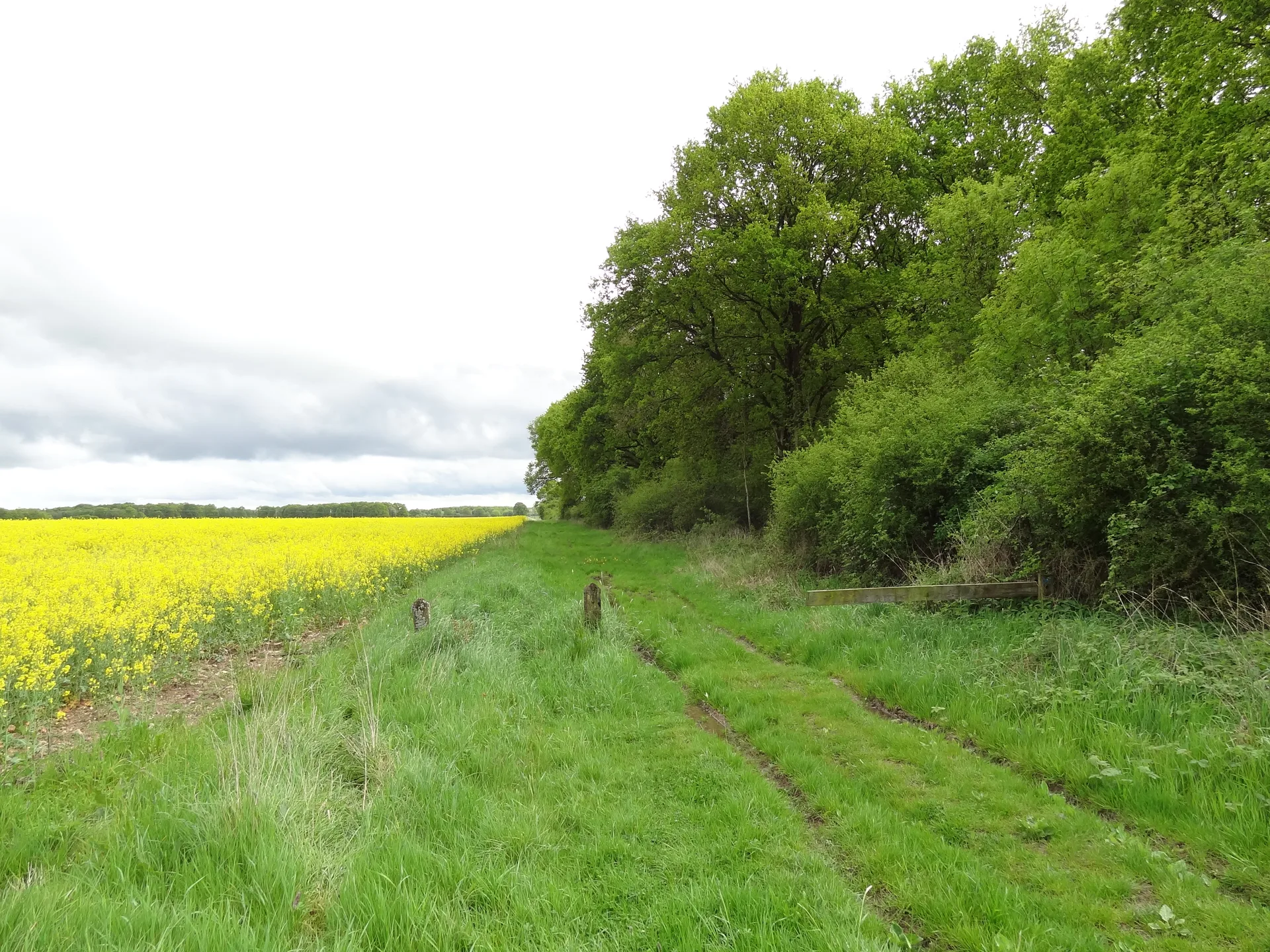 Etang de la Tour à Vieille-Église-en-Yvelines — À 2,7 km du lac