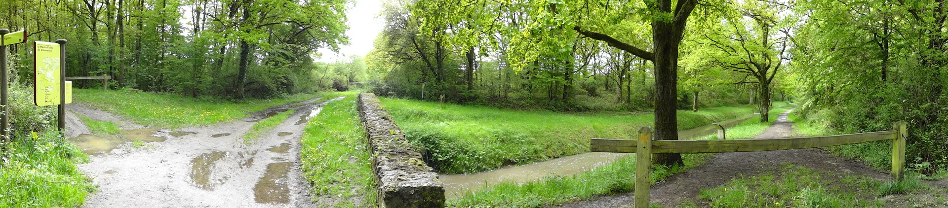 Etang de la Tour à Vieille-Église-en-Yvelines — À 1,5 km du lac