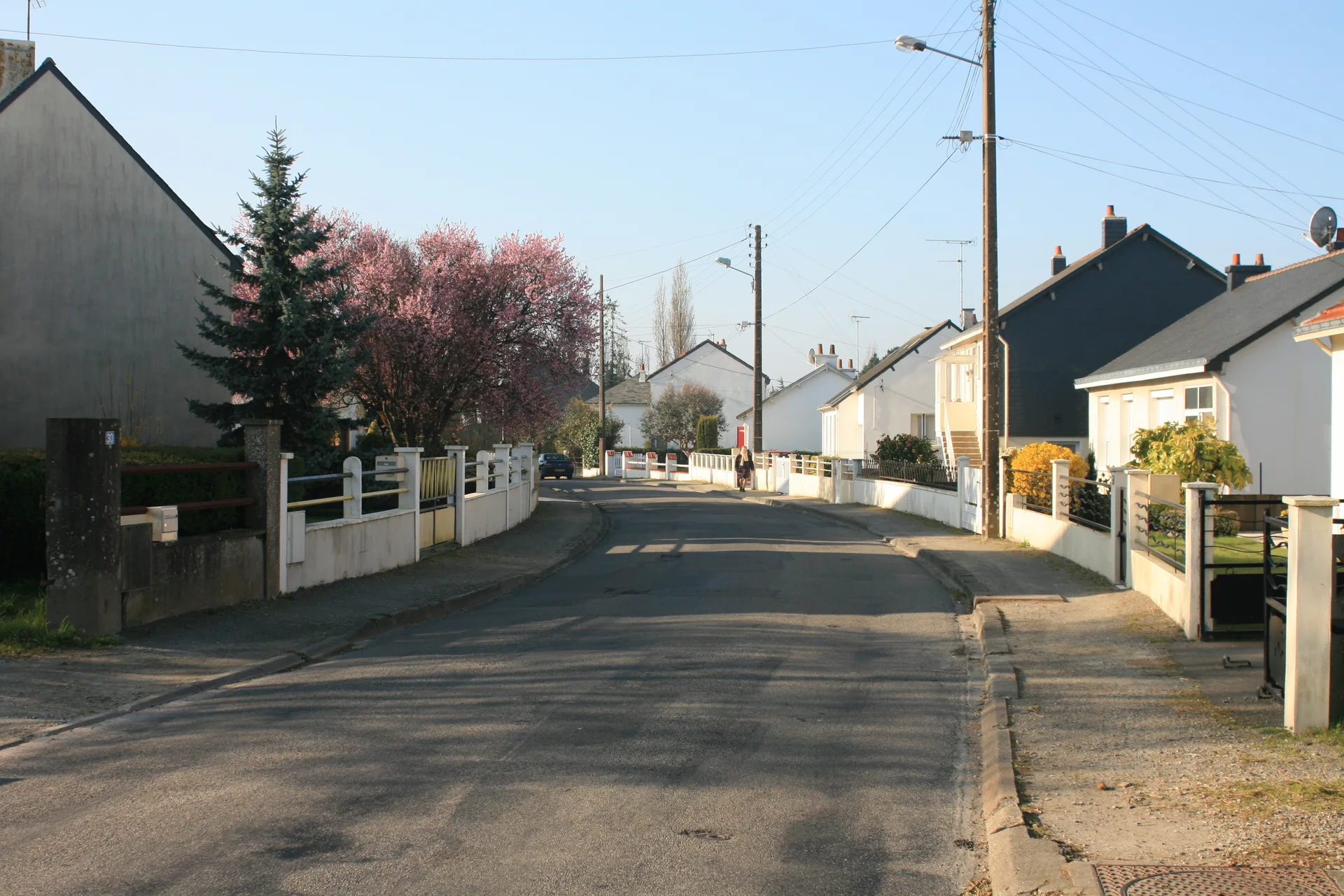 Etang de la Vallee Mabille à Savenay — À 1,4 km du lac