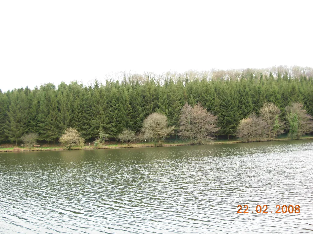 Etang de la Vallee Verte, Callac