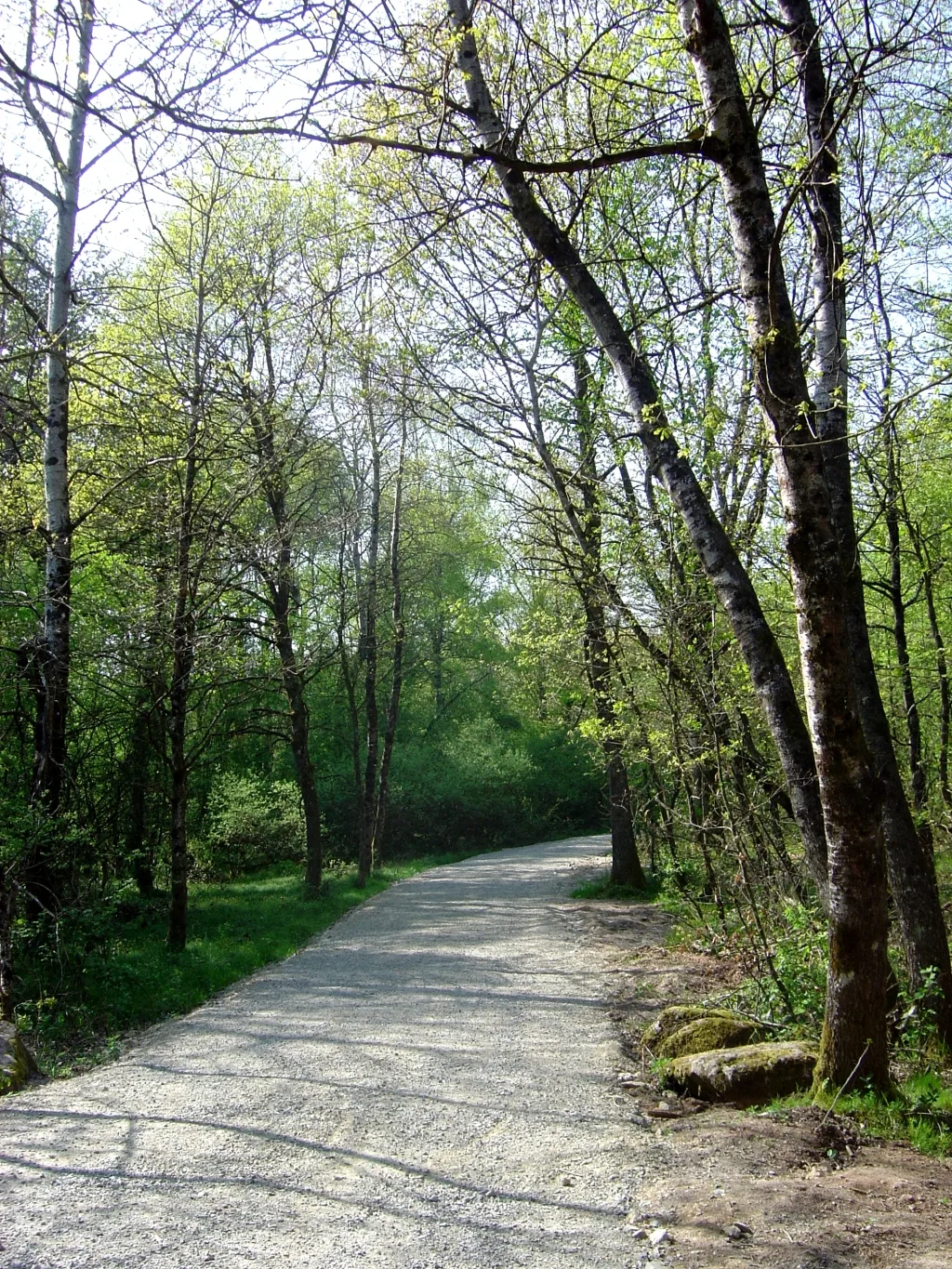 Etang de la Veronne à Sermamagny — À 421 m du lac