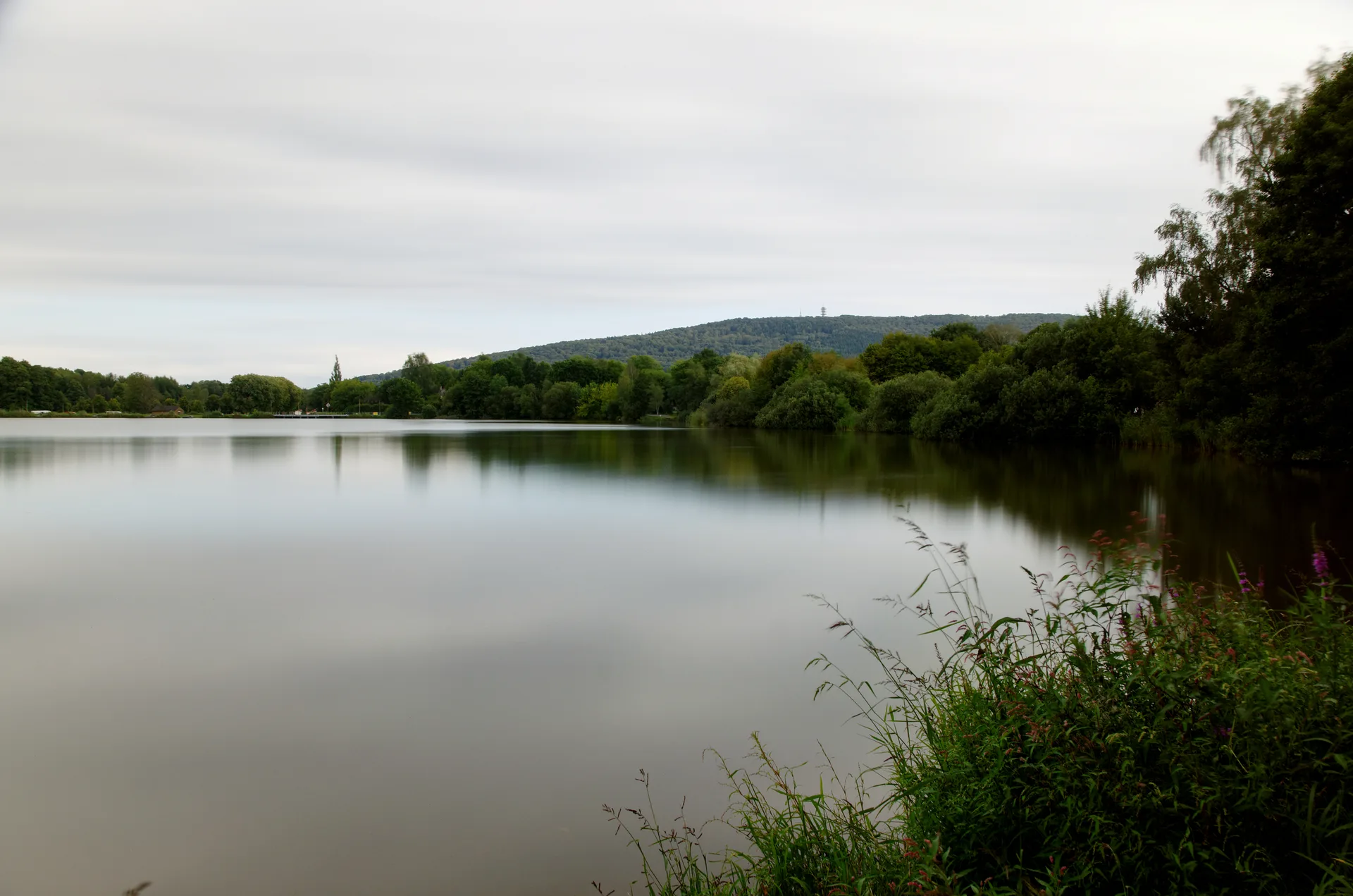 Etang de la Veronne à Sermamagny — À 499 m du lac