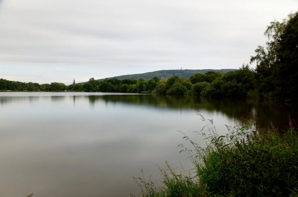 Etang de la Veronne à Sermamagny — À 499 m du lac