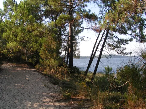Étang de Lacanau