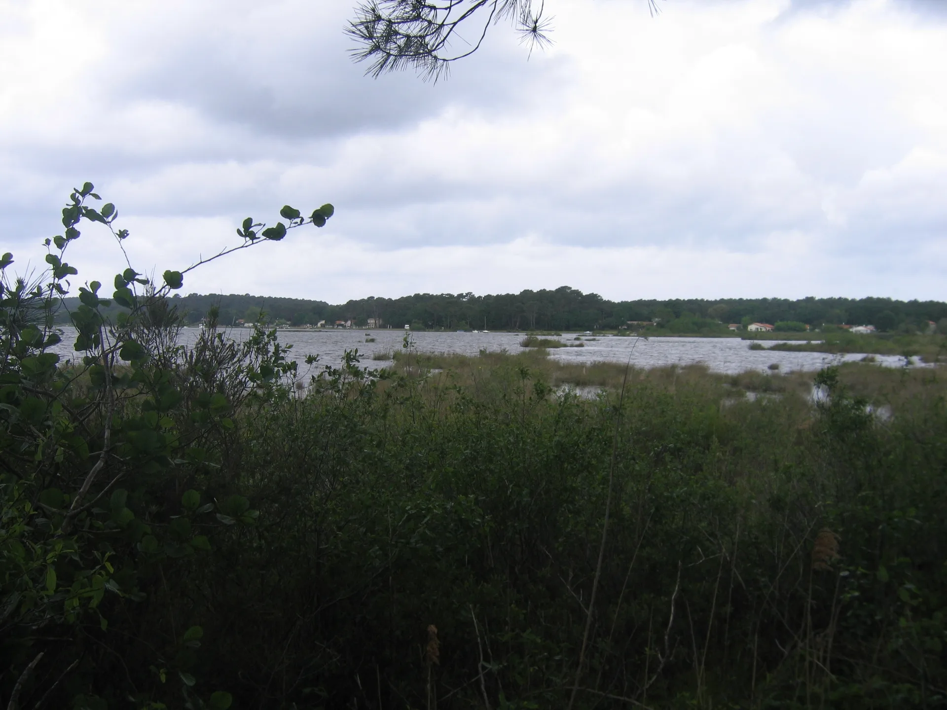 Étang de Lacanau à Lacanau — À 2,4 km du lac