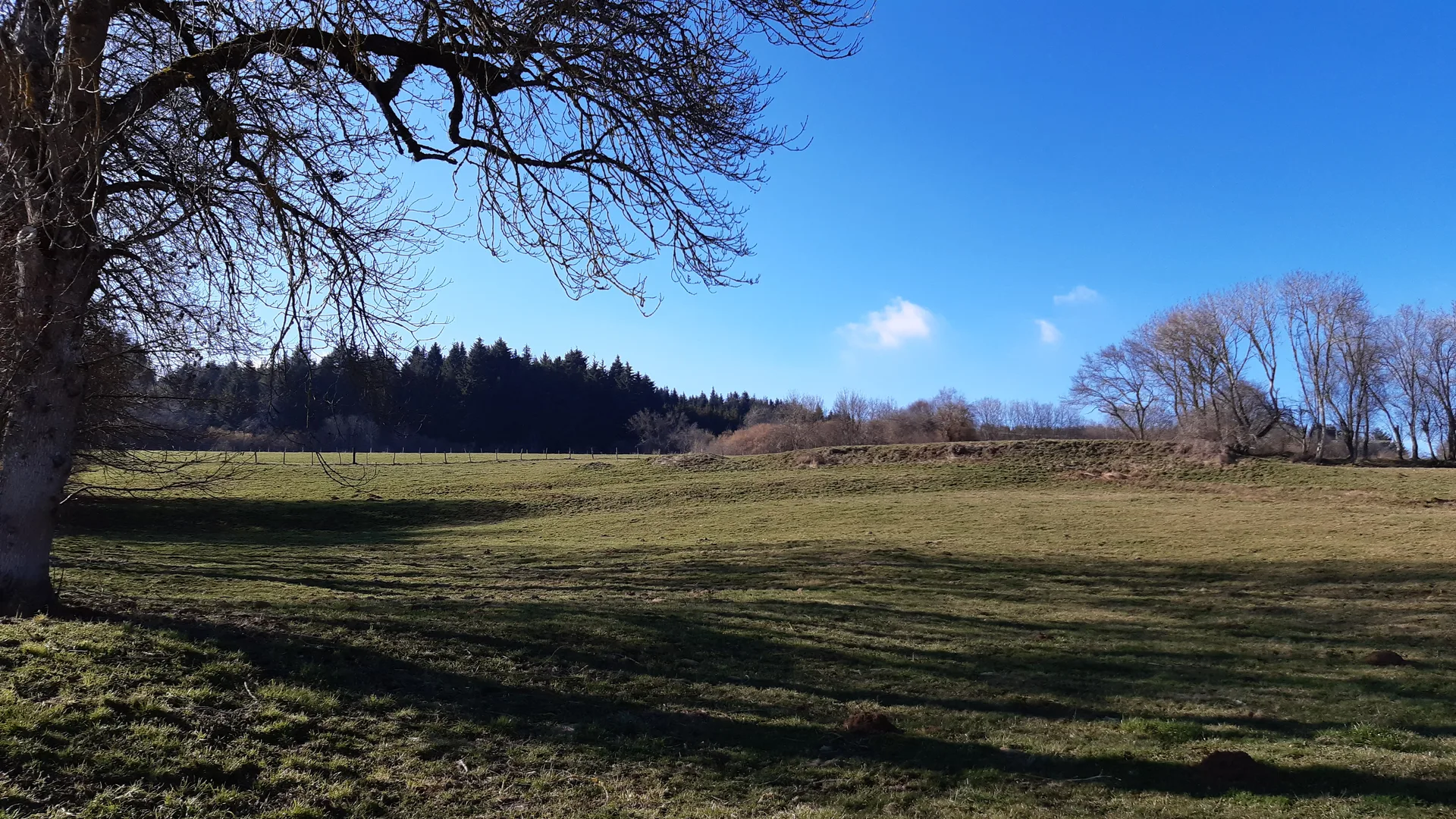 Étang de Lachamp à Manzat — À 1,9 km du lac