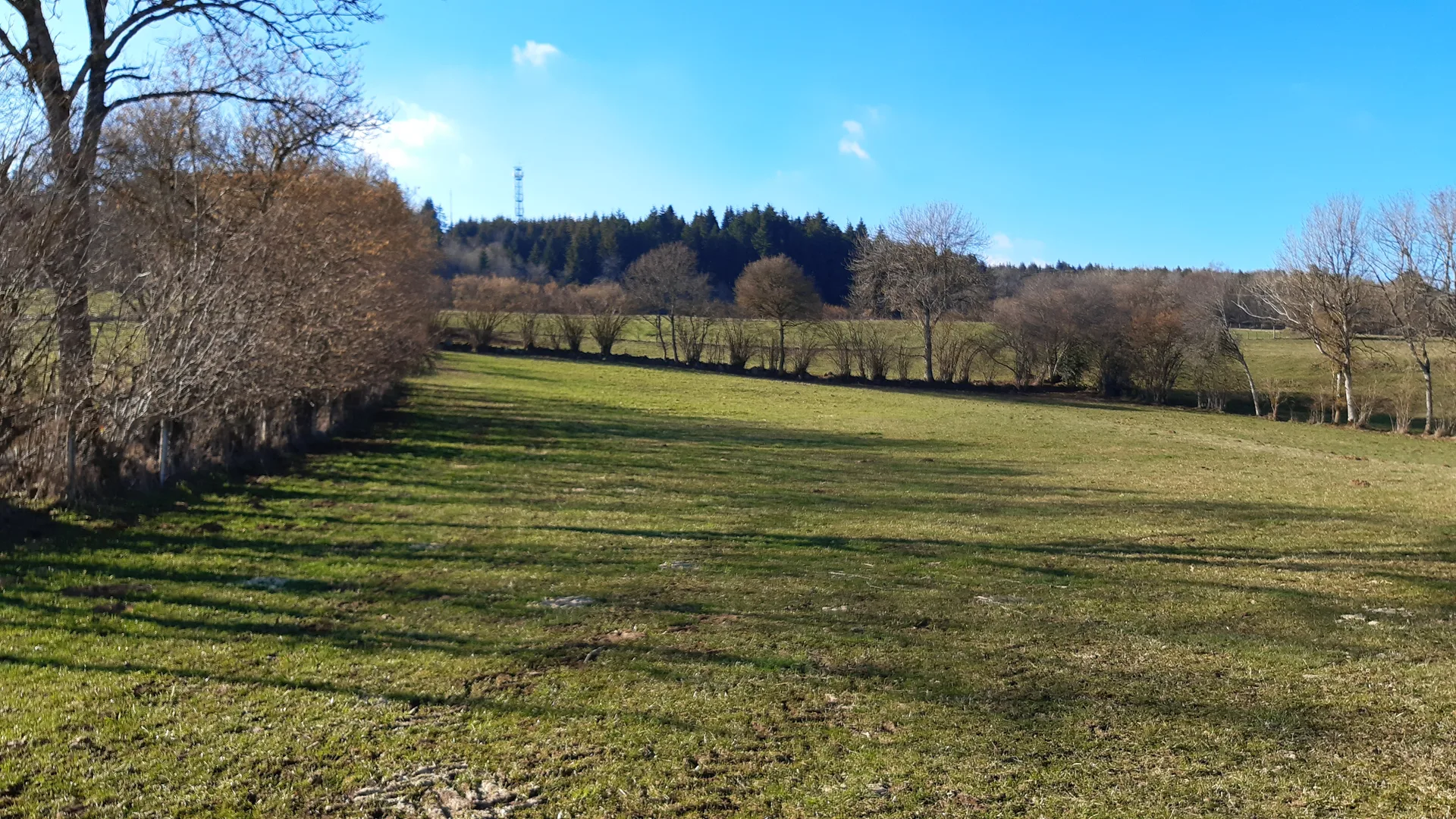 Étang de Lachamp à Manzat — À 2,0 km du lac