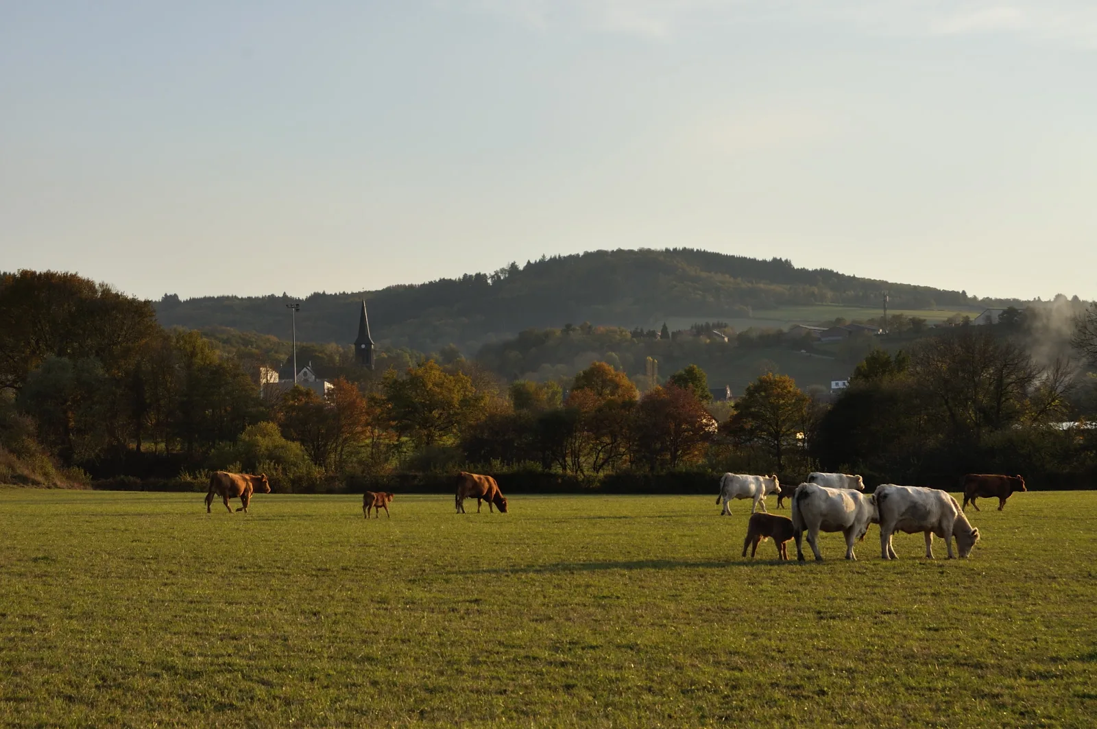 Étang de Lachamp à Manzat — À 3,9 km du lac