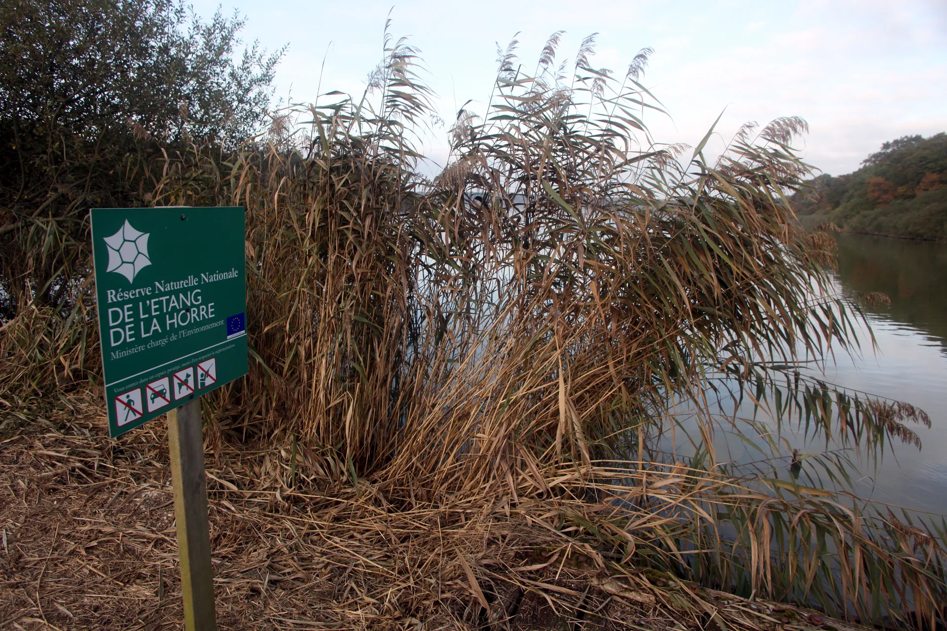 Etang de Lahorre à Lentilles — Sur le lac