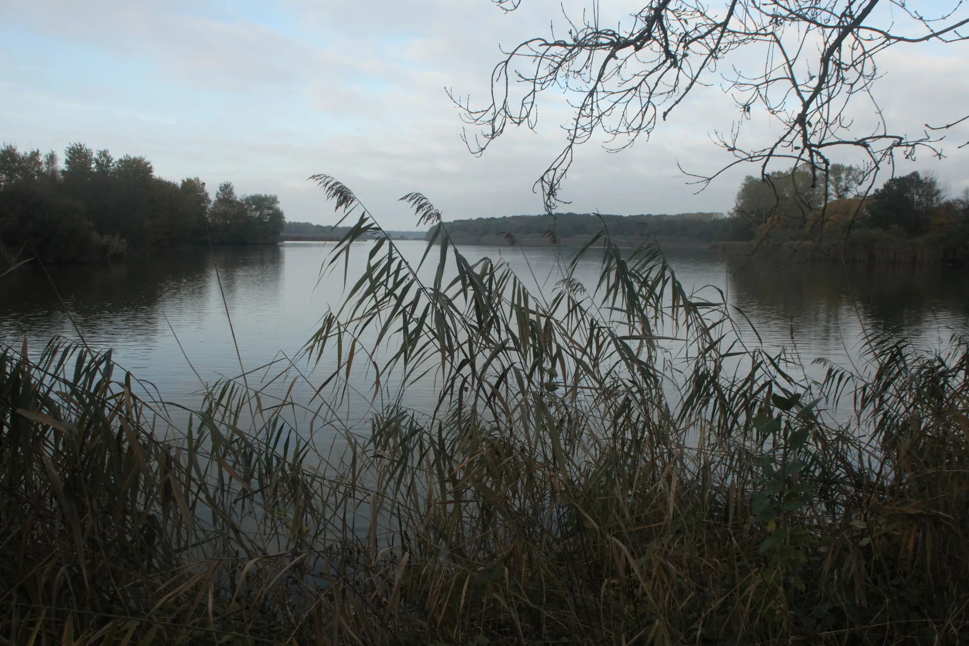 Etang de Lahorre à Lentilles — À 1,1 km du lac
