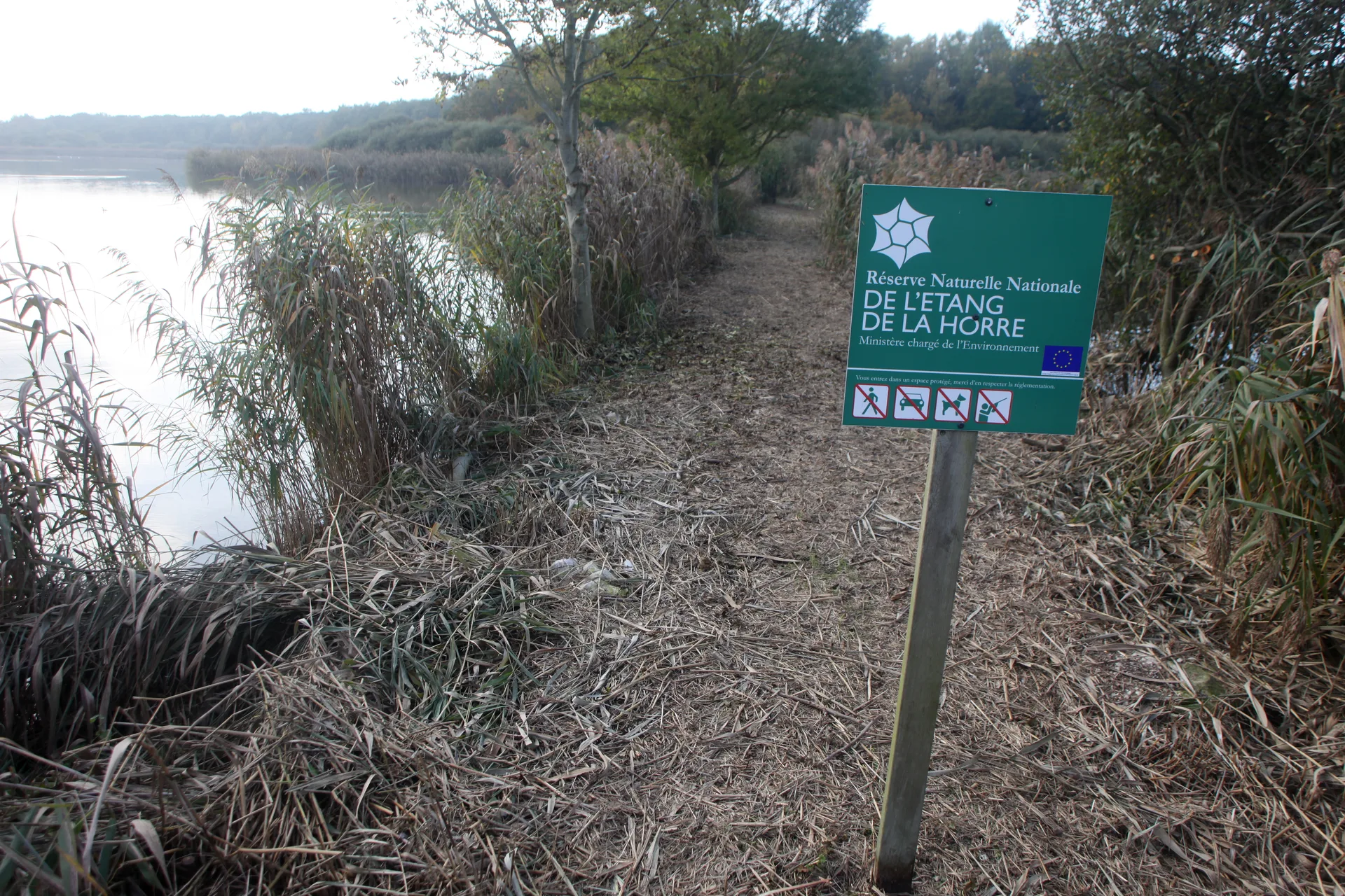 Etang de Lahorre à Lentilles — Sur le lac
