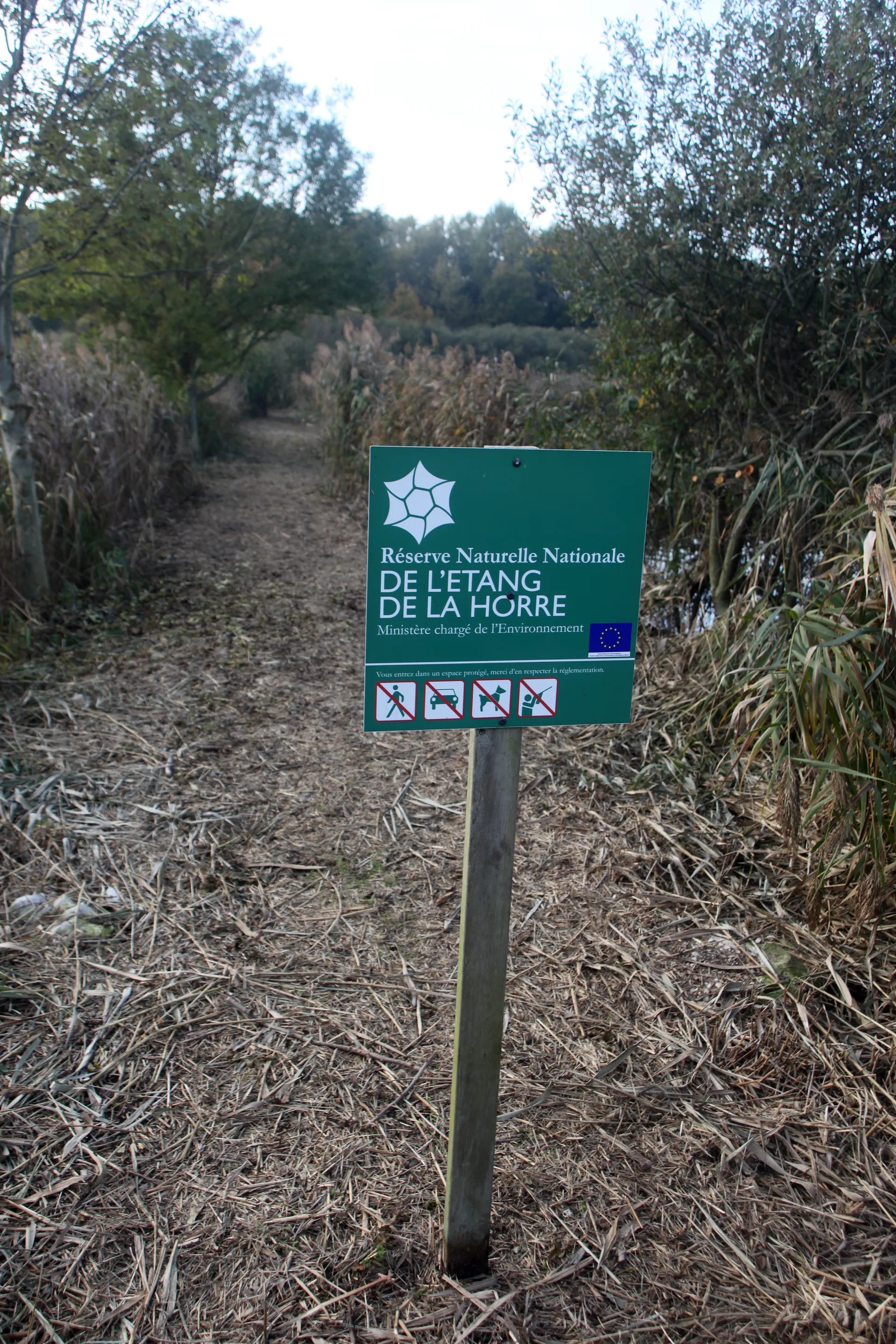 Etang de Lahorre à Lentilles — Sur le lac
