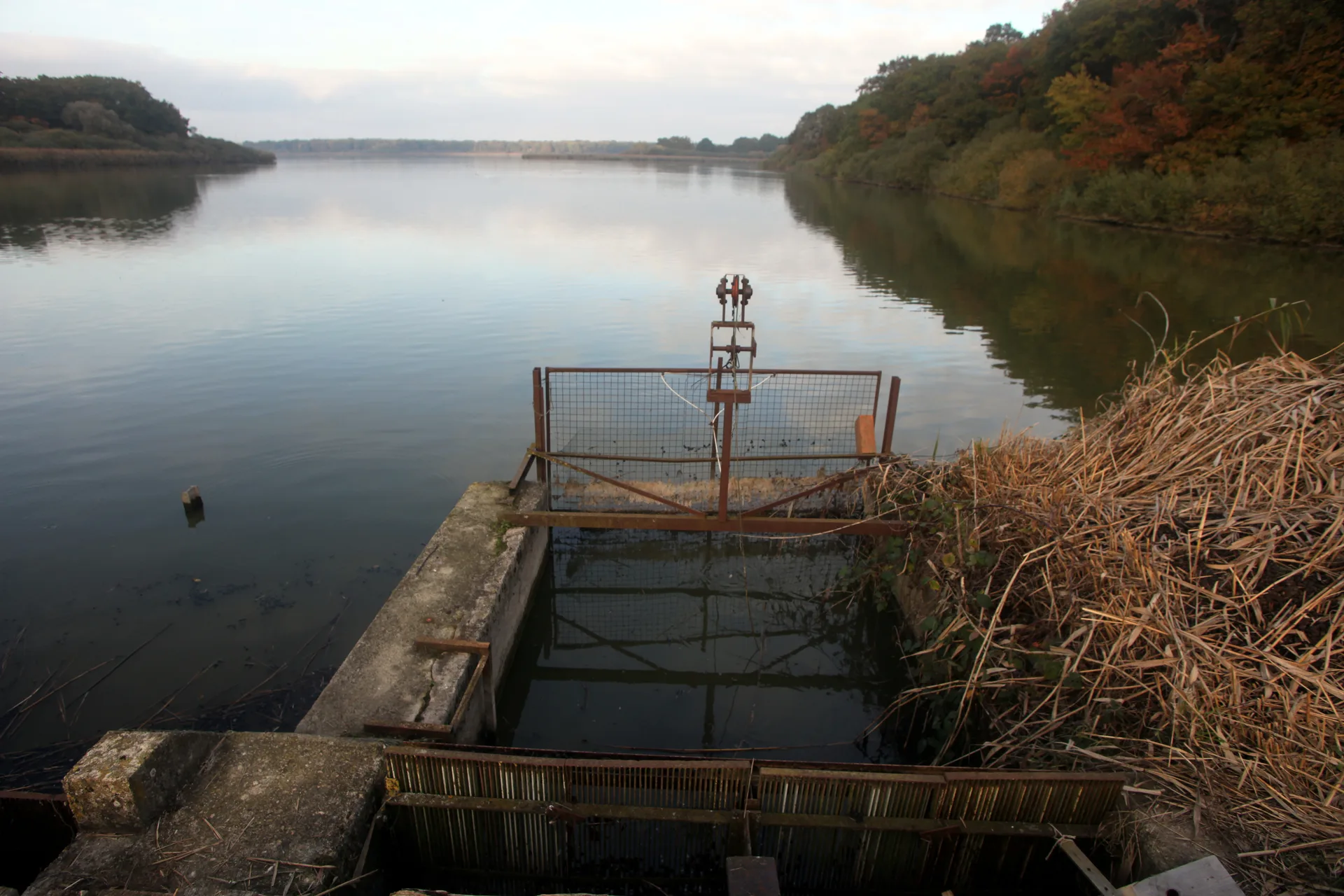 Etang de Lahorre à Lentilles — Sur le lac