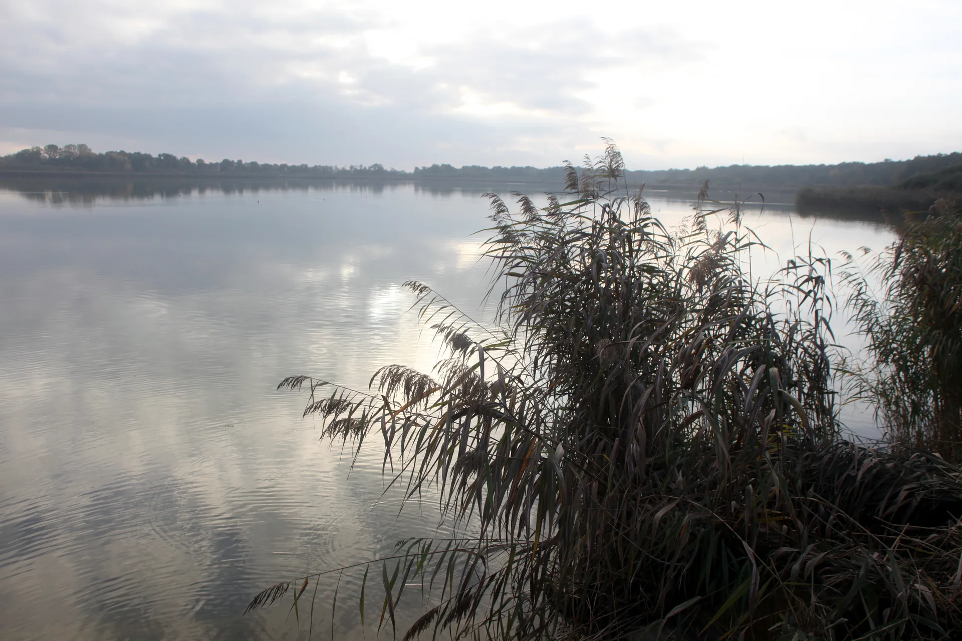 Etang de Lahorre à Lentilles — Sur le lac