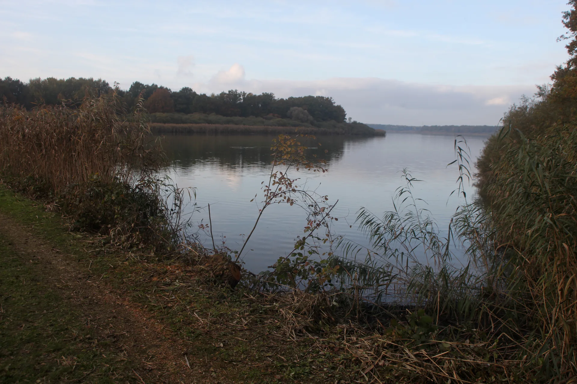 Etang de Lahorre à Lentilles — Sur le lac