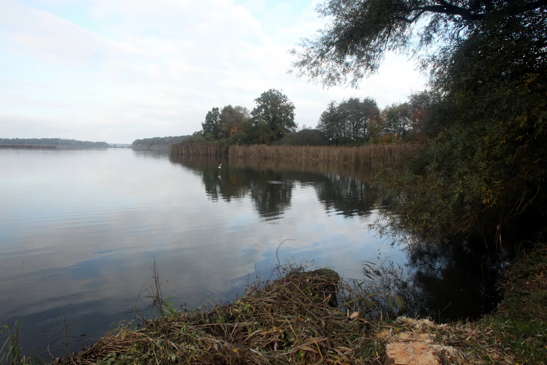 Etang de Lahorre à Lentilles — À 1,1 km du lac