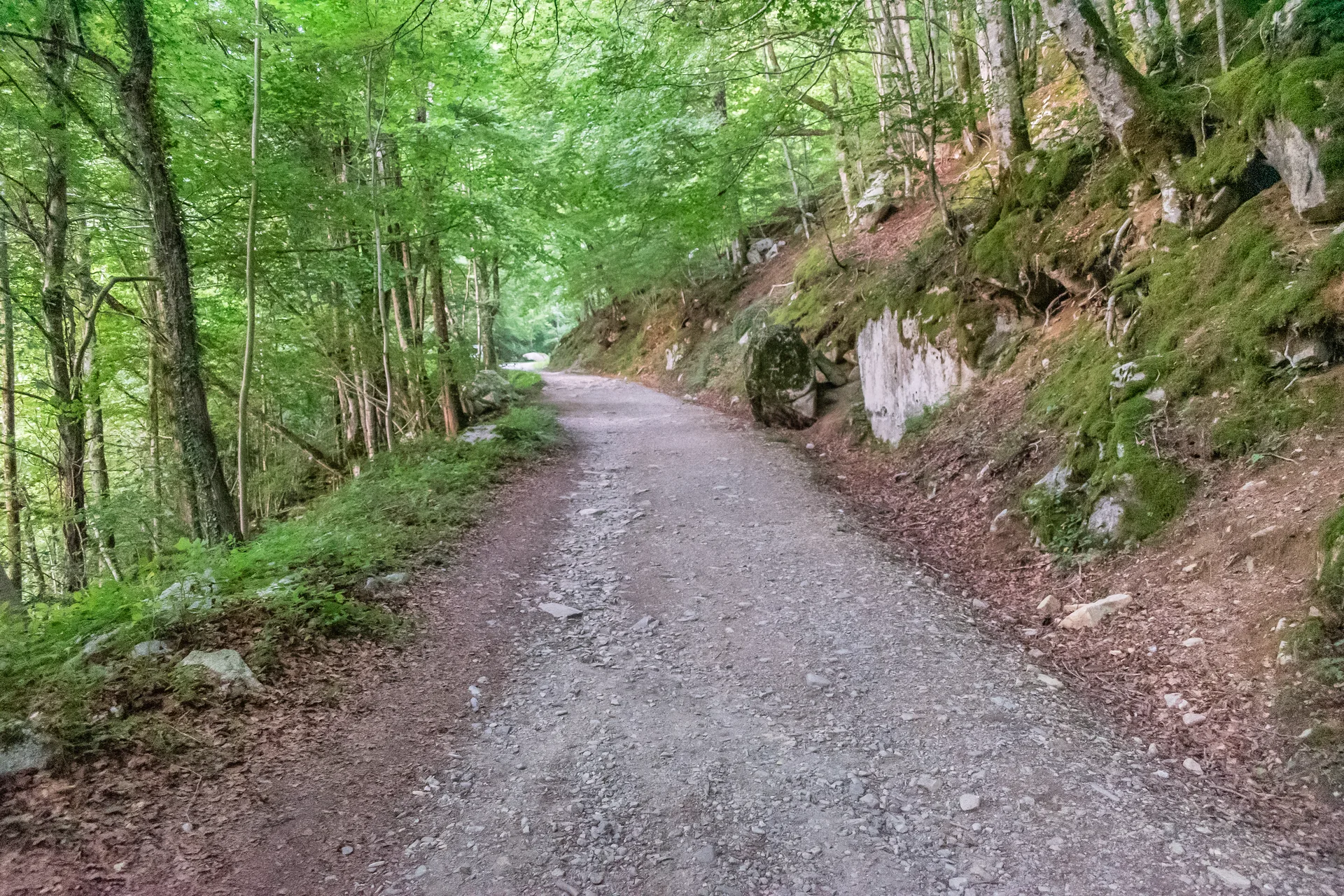 Étang de Lers à Le Port — À 3,6 km du lac