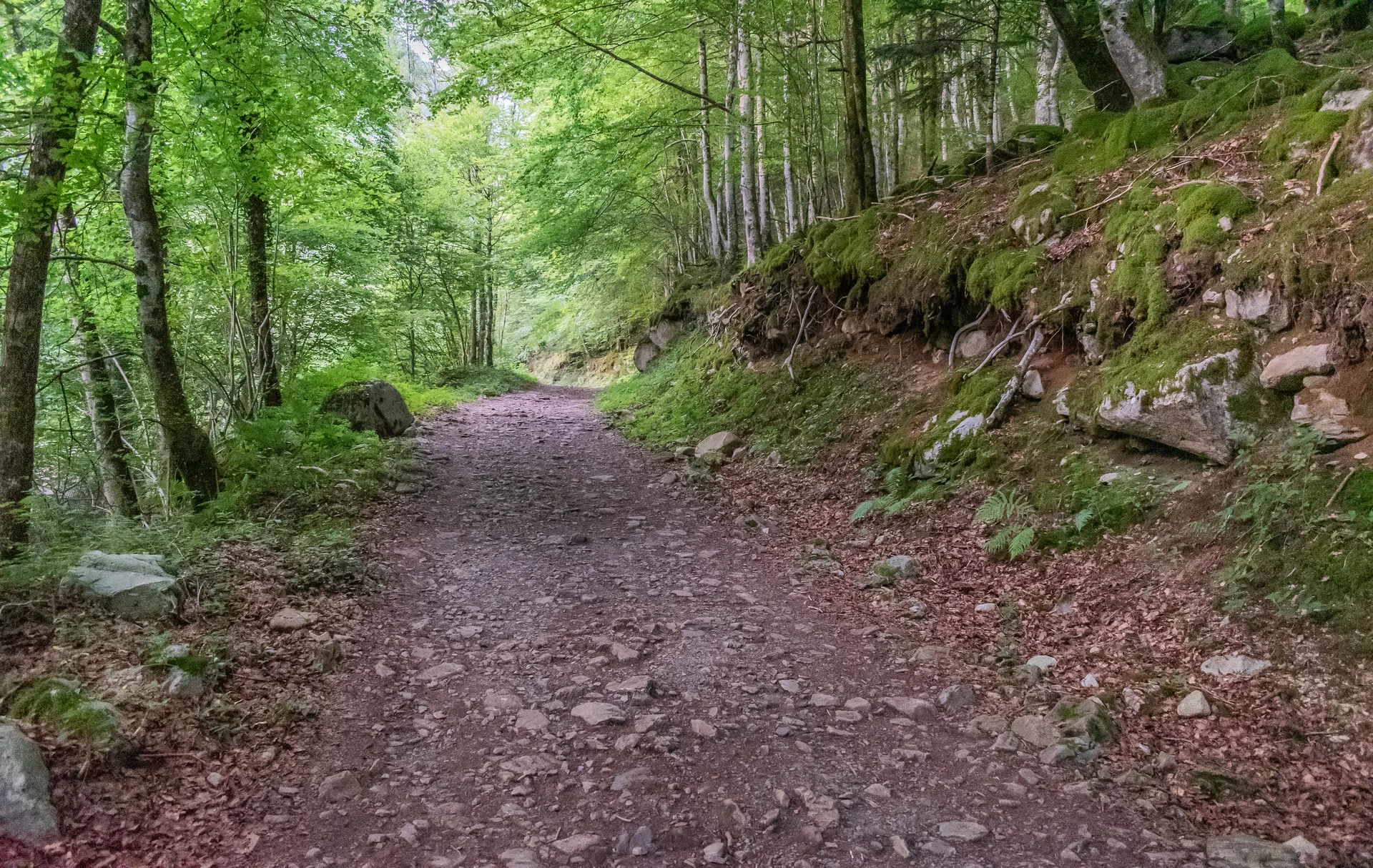 Étang de Lers à Le Port — À 3,6 km du lac