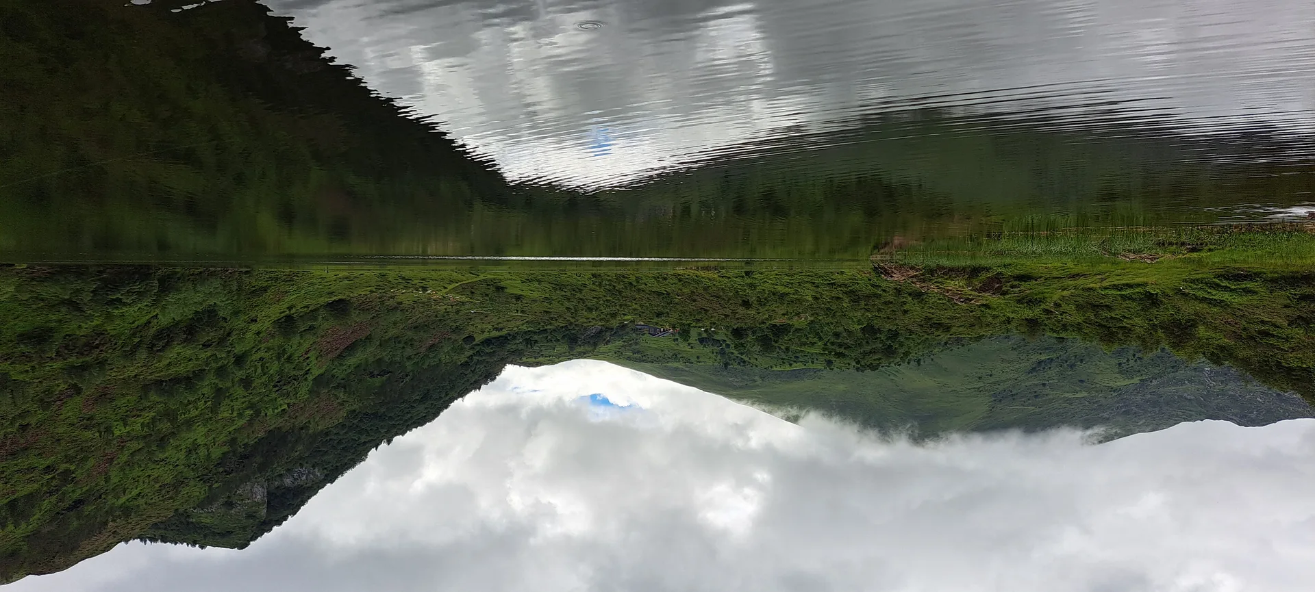 Étang de Lers à Le Port — À 285 m du lac