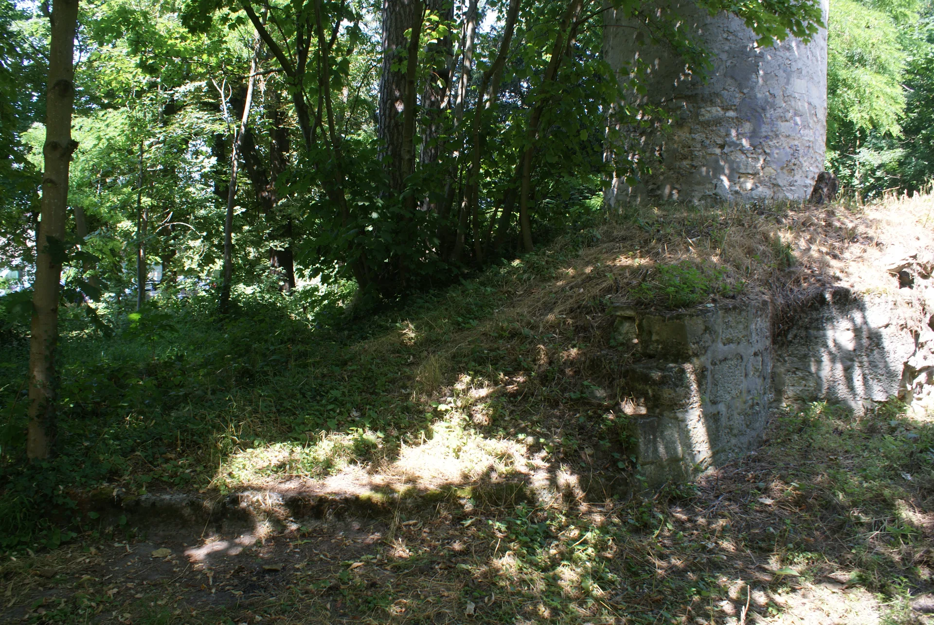 Etang de Longchamp à Paris — Sur le lac