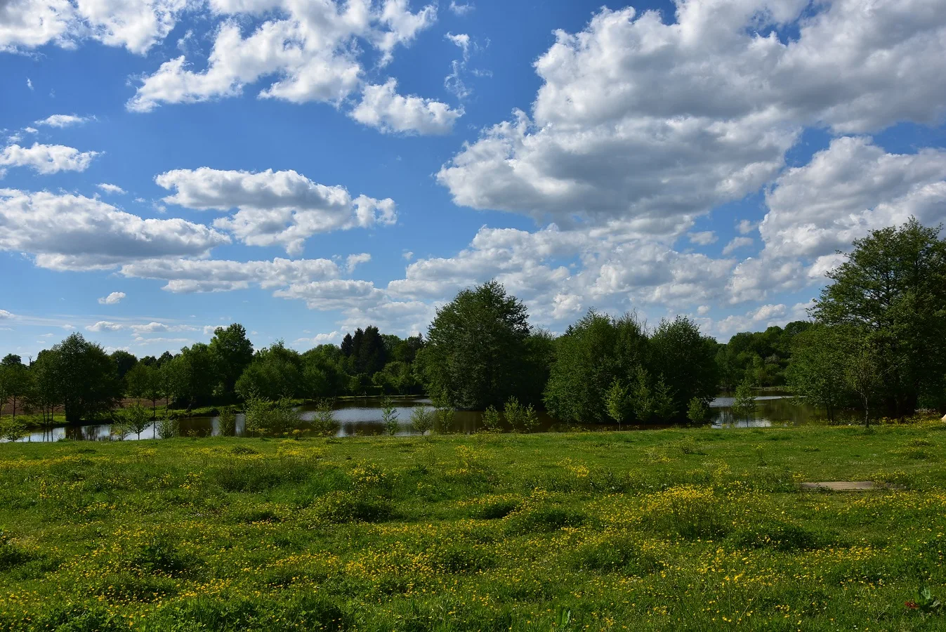 Etang de Luciere à Saint-Pardoux-Soutiers — À 4,1 km du lac