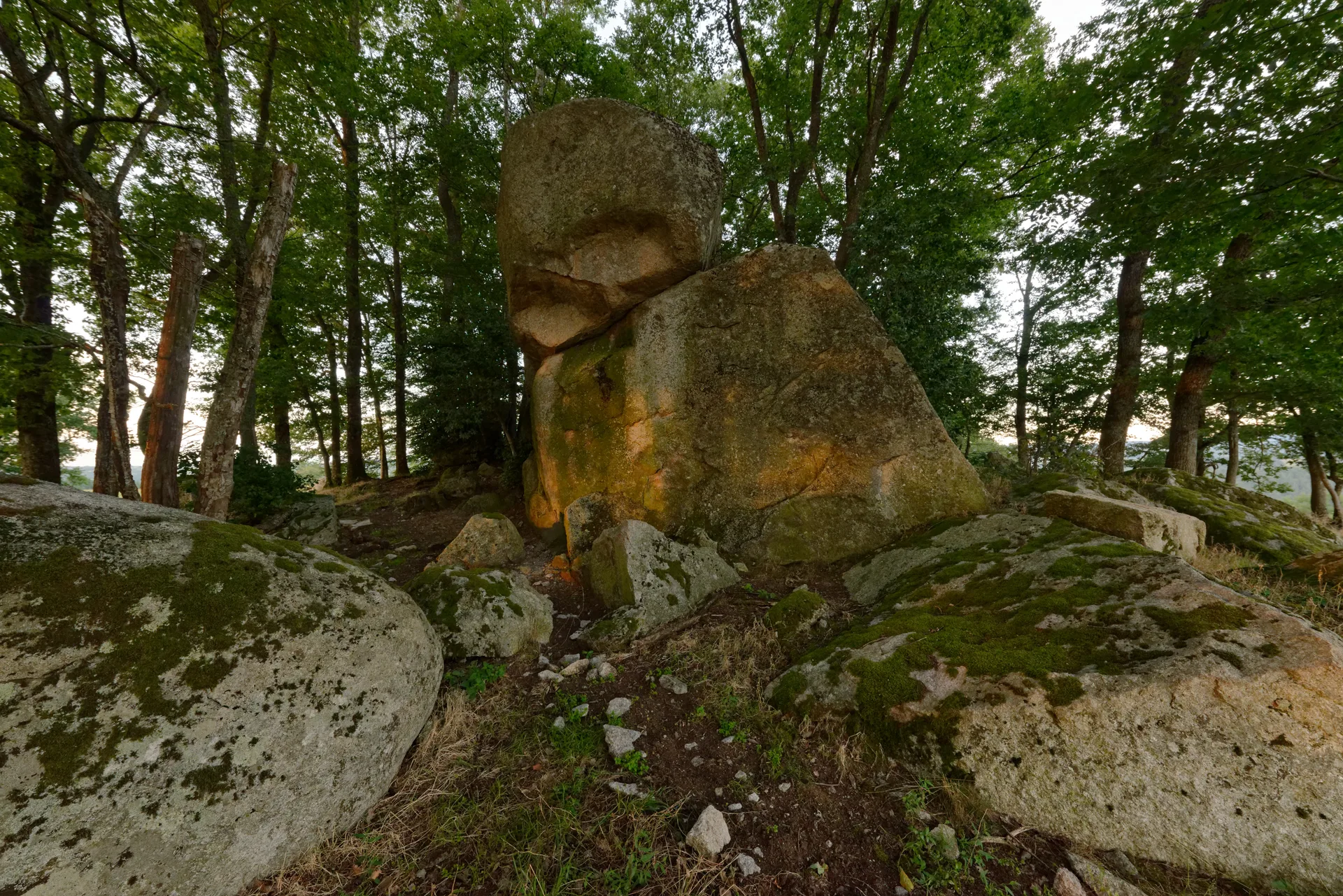 Etang de Malforet à Arronnes — À 3,1 km du lac