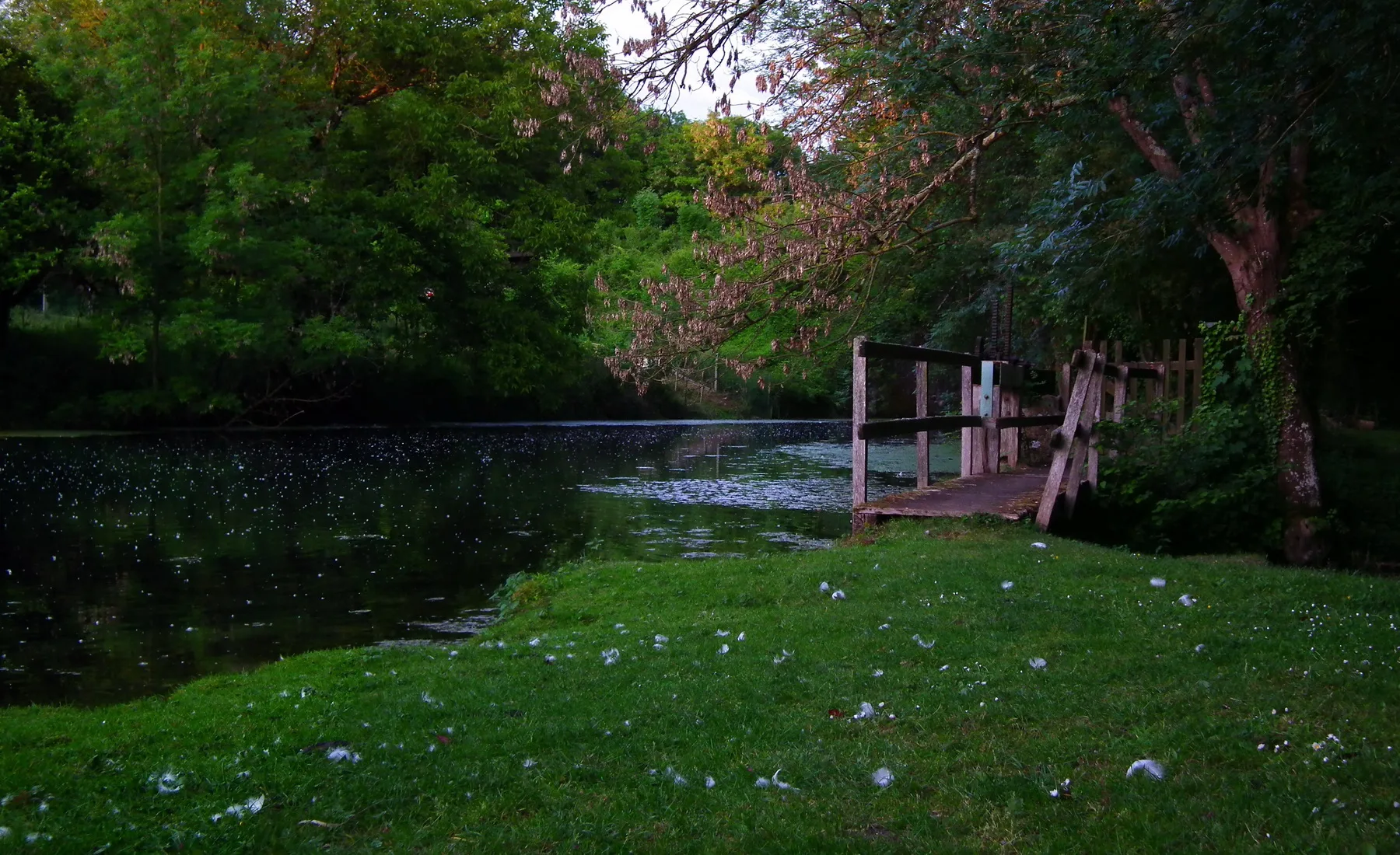 Etang de Marcenay à Marcenay — À 4,3 km du lac
