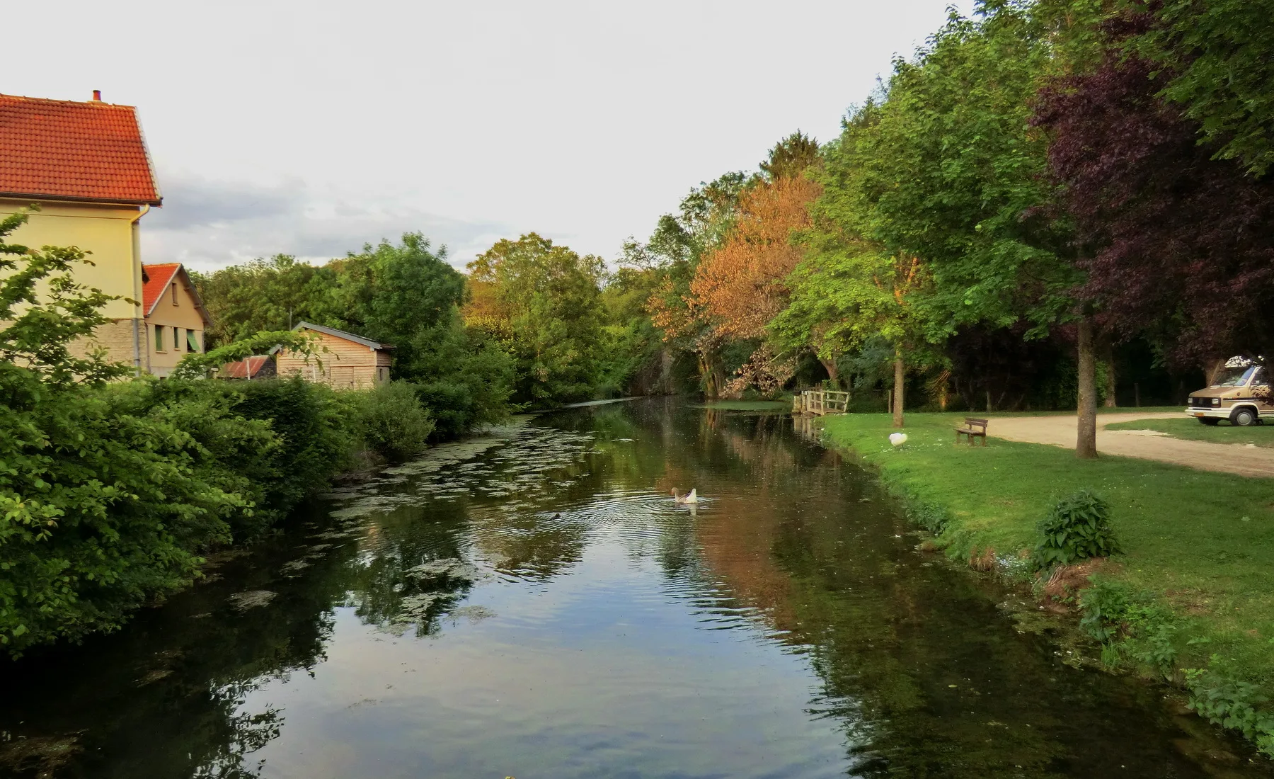 Etang de Marcenay à Marcenay — À 4,4 km du lac