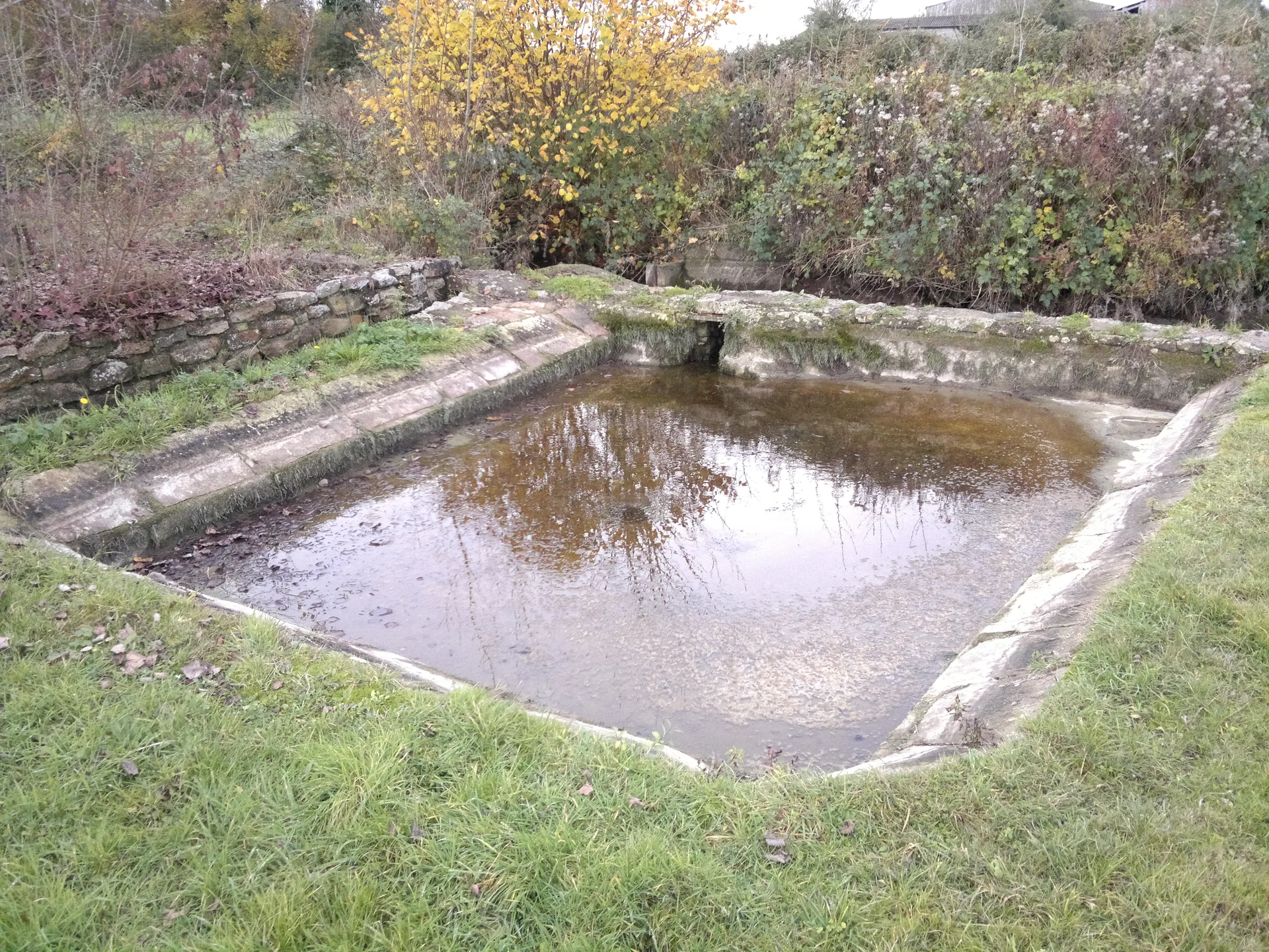 Etang de Marson à Rou-Marson — À 2,7 km du lac