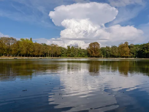 Etang de Meudon
