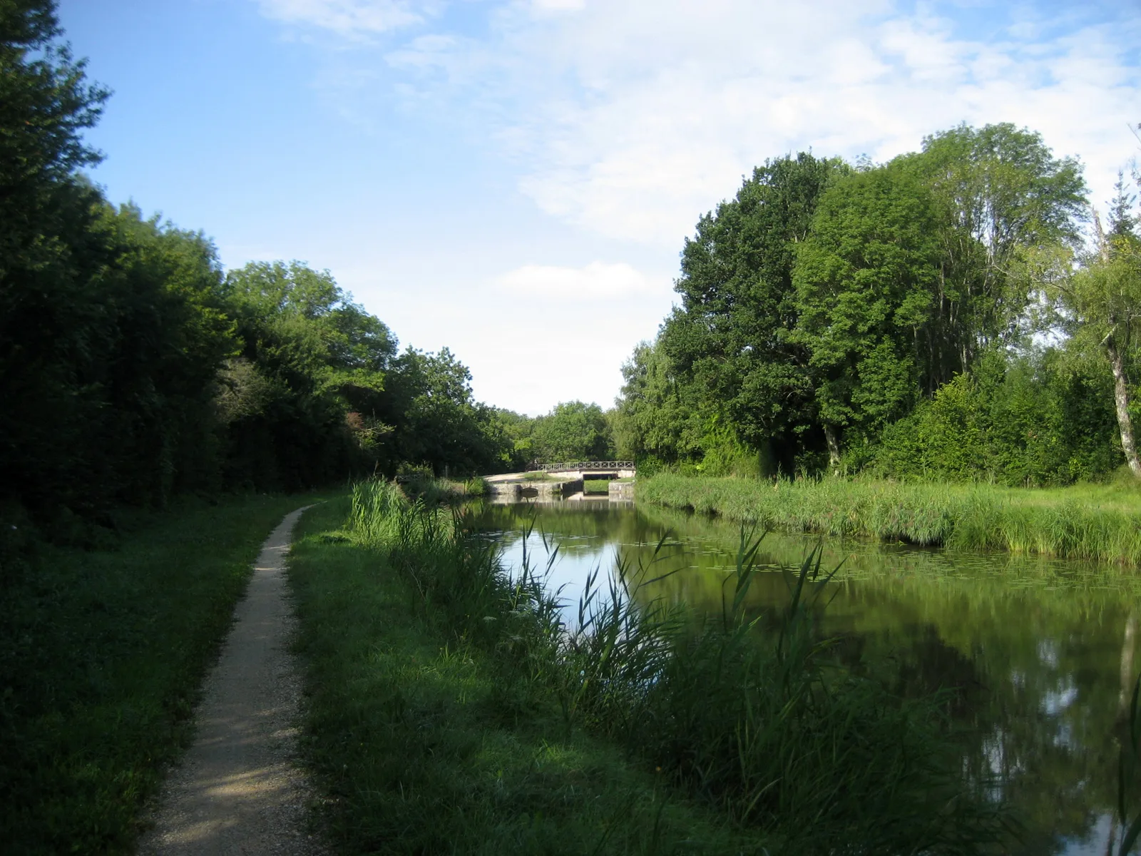 Etang de Morche à Vitry-aux-Loges — À 1,8 km du lac