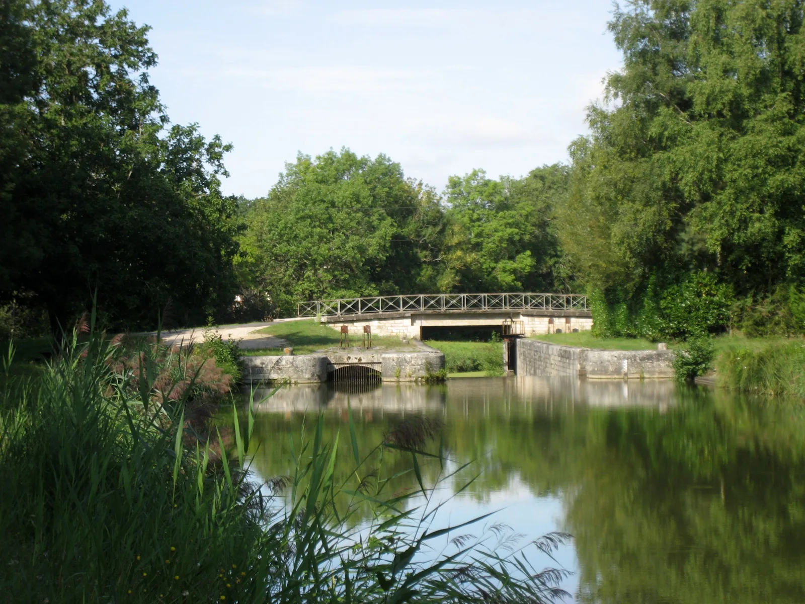 Etang de Morche à Vitry-aux-Loges — À 1,9 km du lac