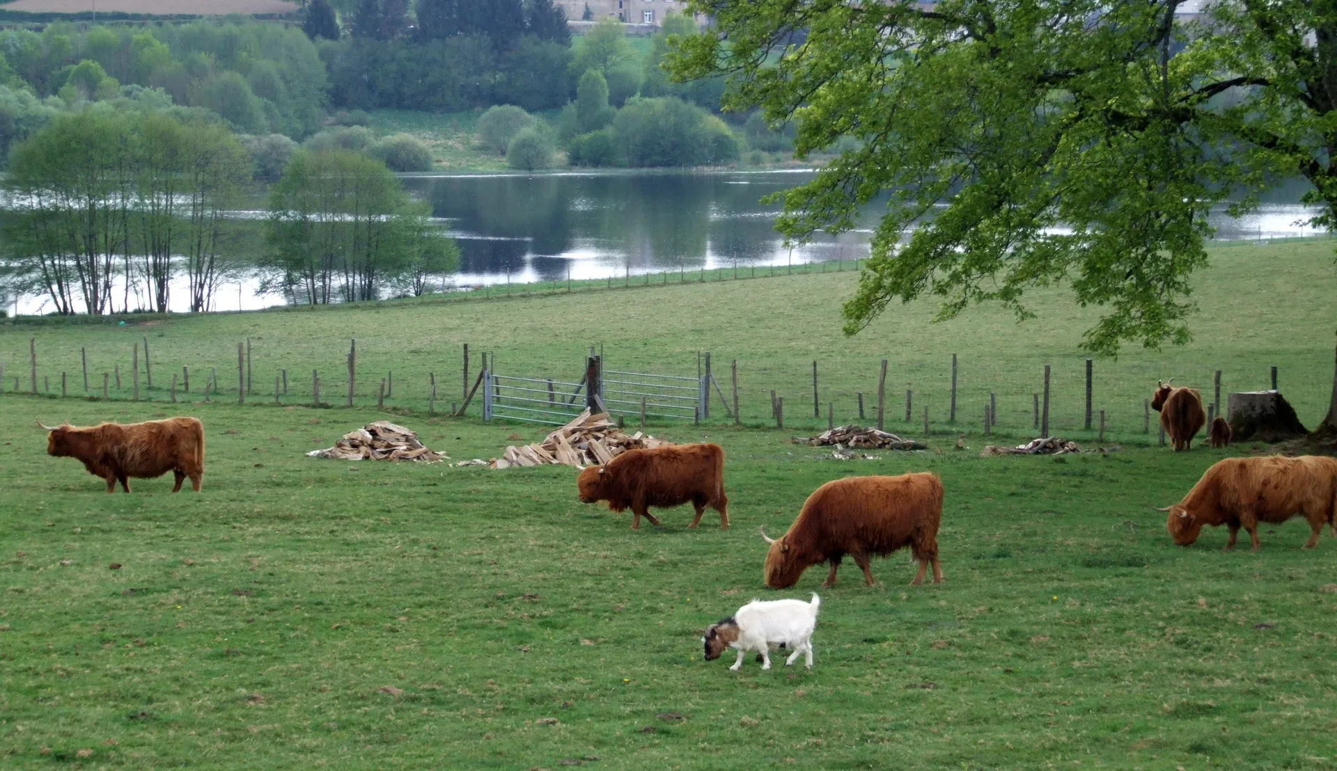 Etang de Moulin Morin à Champeau-en-Morvan — À 4,5 km du lac