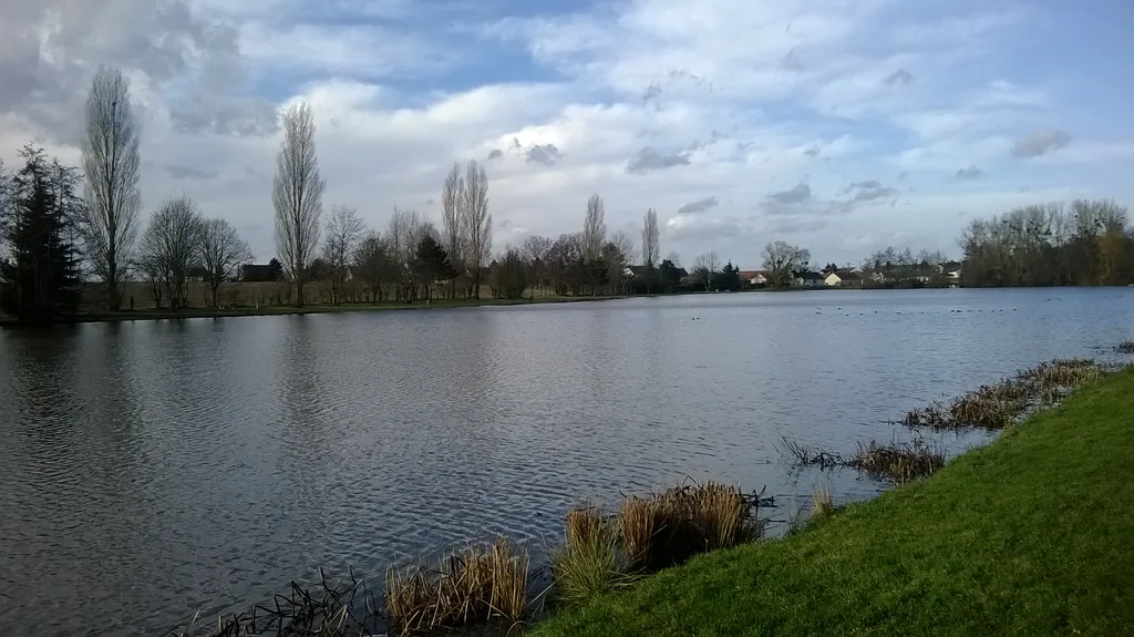 Etang  de Nogent sur Vernisson, Nogent-sur-Vernisson