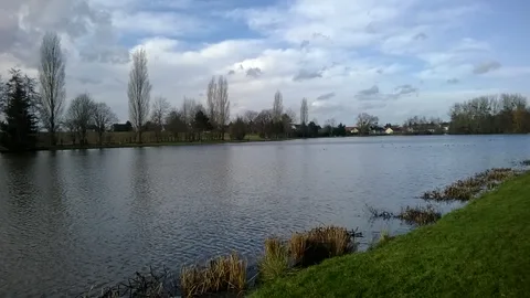 Etang  de Nogent sur Vernisson