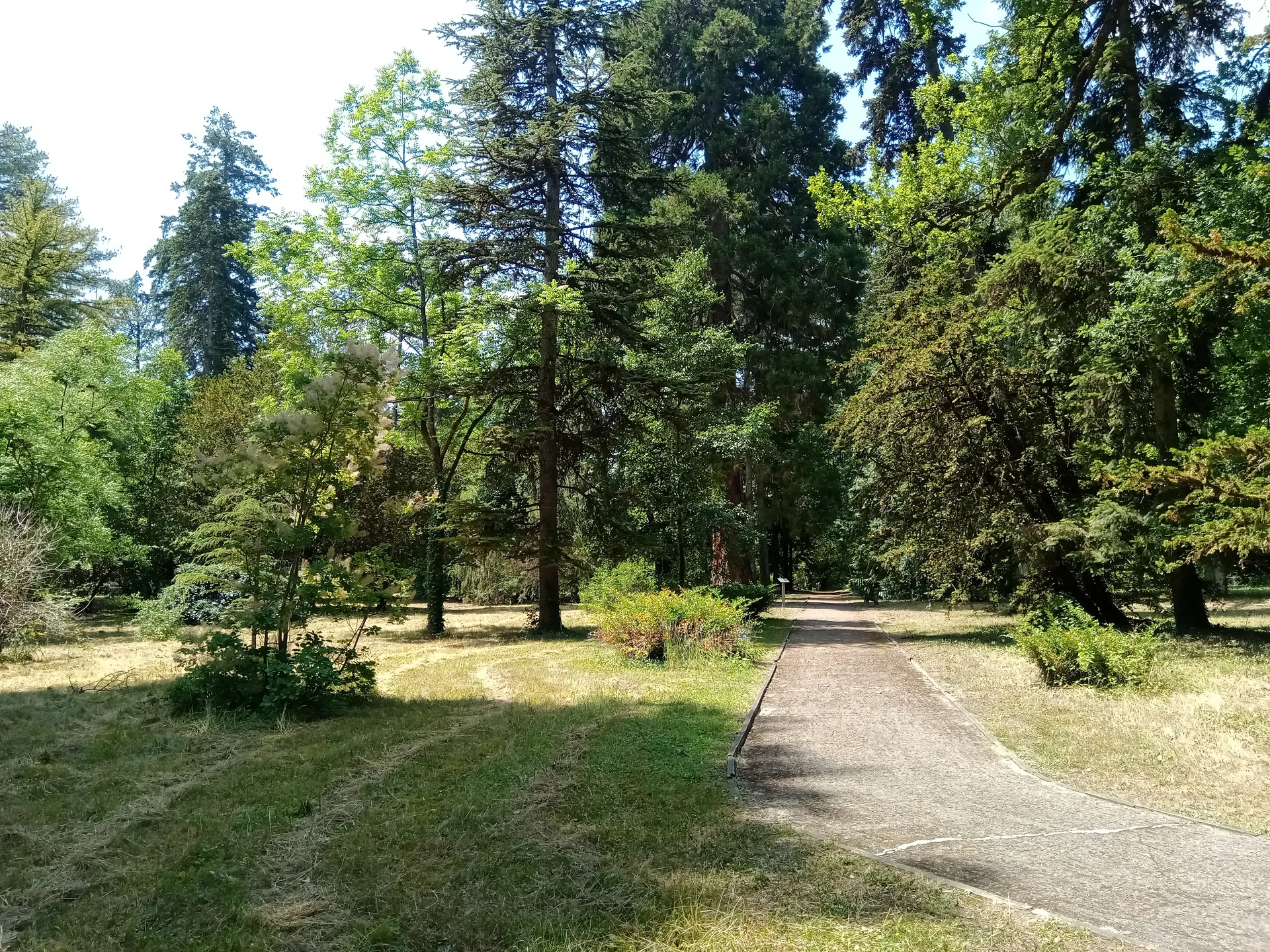 Etang  de Nogent sur Vernisson à Nogent-sur-Vernisson — À 1,0 km du lac