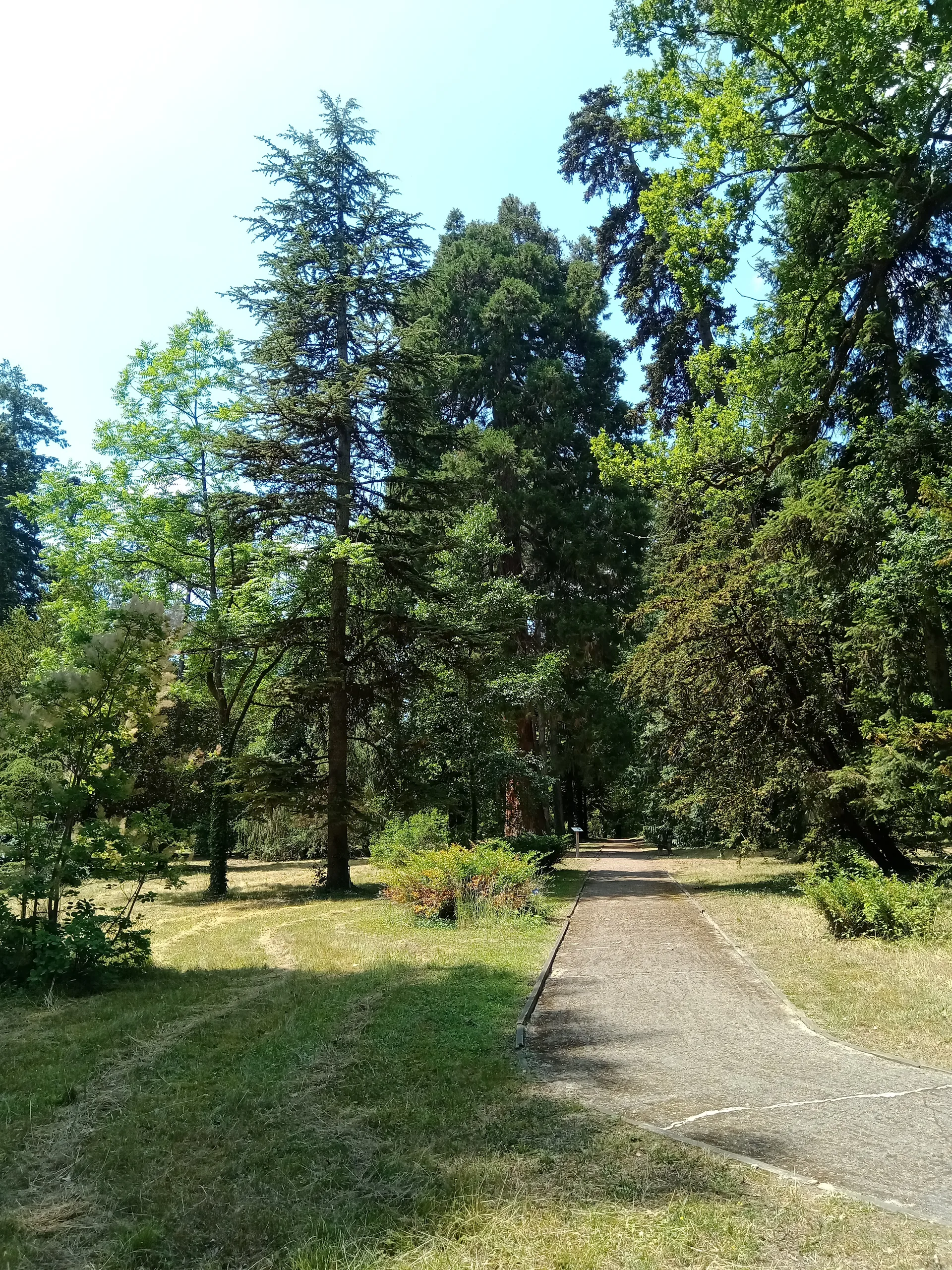 Etang  de Nogent sur Vernisson à Nogent-sur-Vernisson — À 1,0 km du lac
