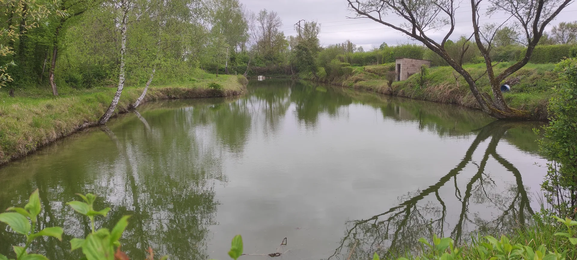 Etang de Nokilus à Bressey-sur-Tille — À 2,9 km du lac