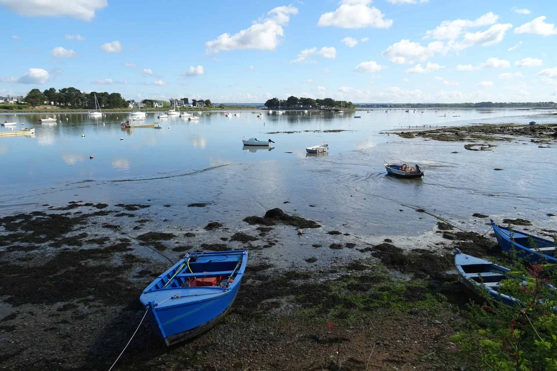 Etang de Noyalo à Theix-Noyalo — À 4,5 km du lac