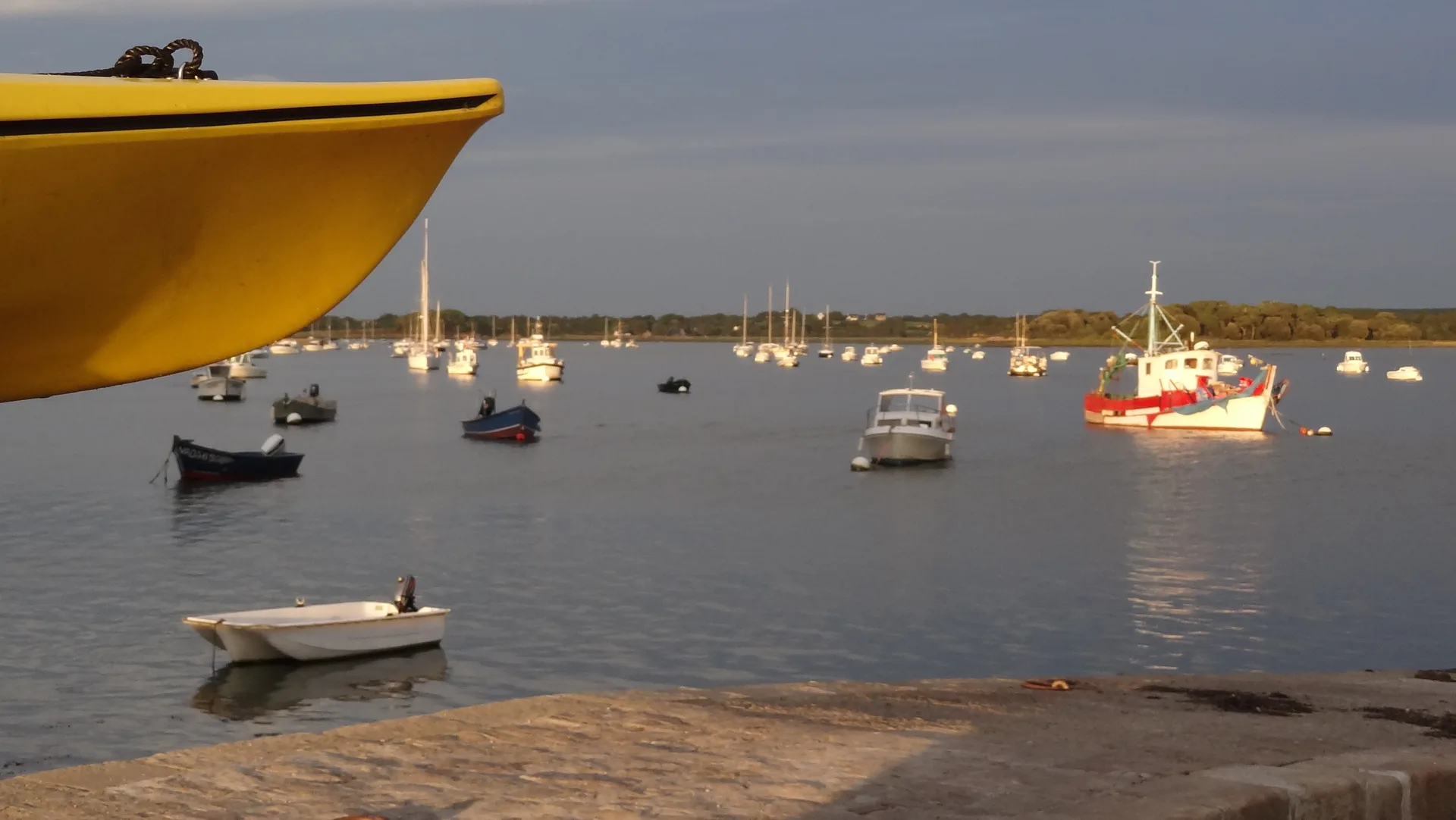 Etang de Noyalo à Theix-Noyalo — À 4,6 km du lac