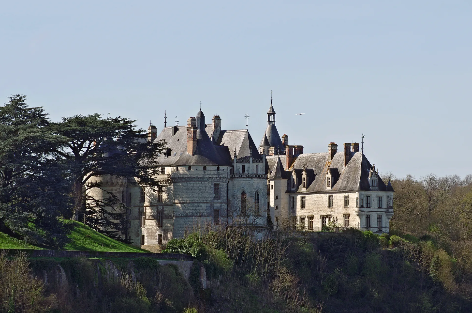 Etang de Onzain à Veuzain-sur-Loire — À 2,3 km du lac