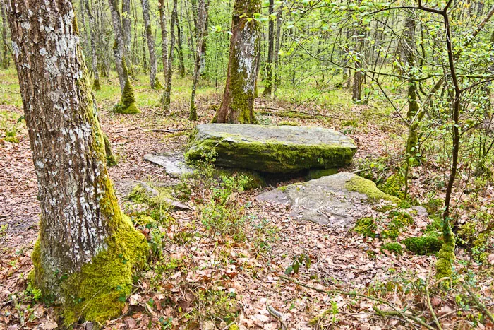 Etang de Paimpont à Paimpont — À 4,3 km du lac