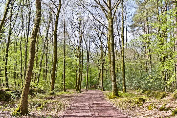 Etang de Paimpont à Paimpont — À 2,4 km du lac