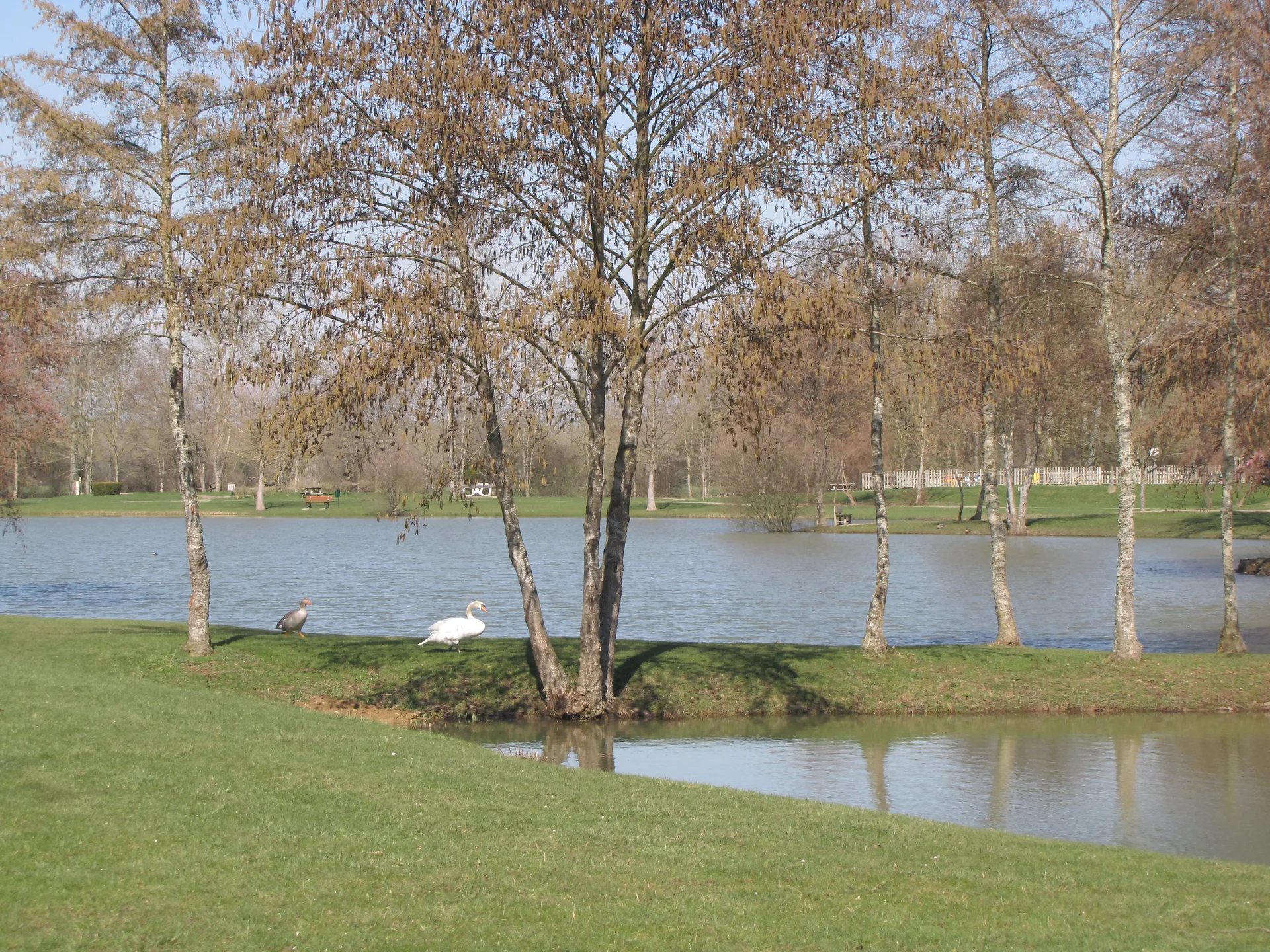 Etang de Petra à Charny Orée de Puisaye — À 2,8 km du lac