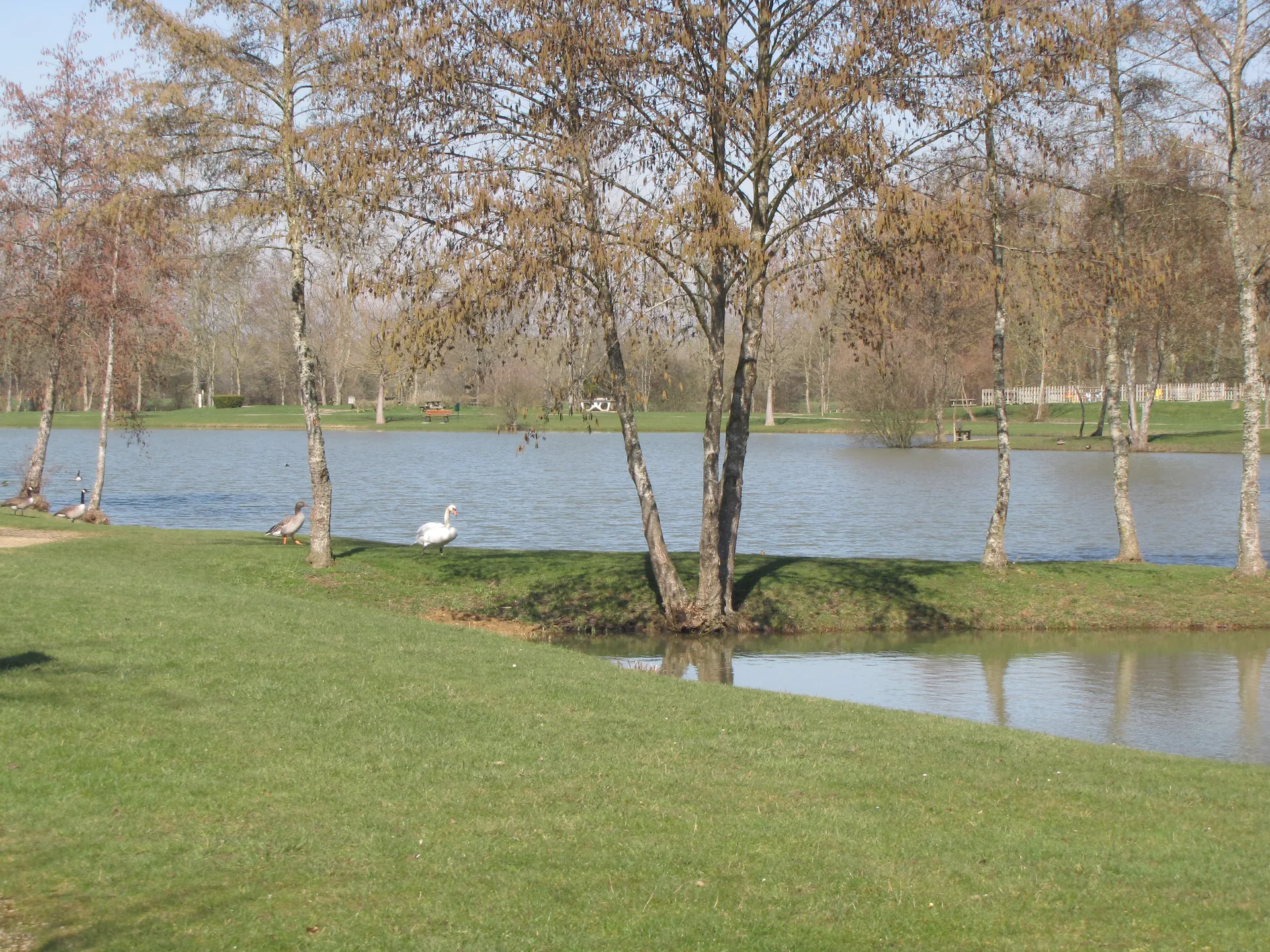 Etang de Petra à Charny Orée de Puisaye — À 2,8 km du lac