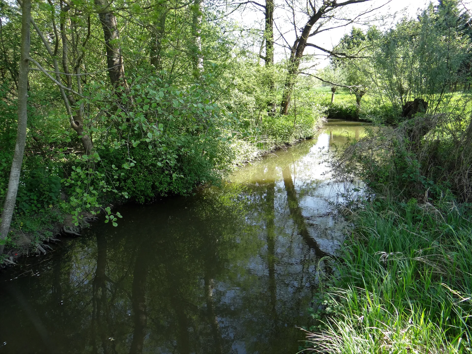 Etang de Piquereau à Chailly-en-Gâtinais — À 2,3 km du lac